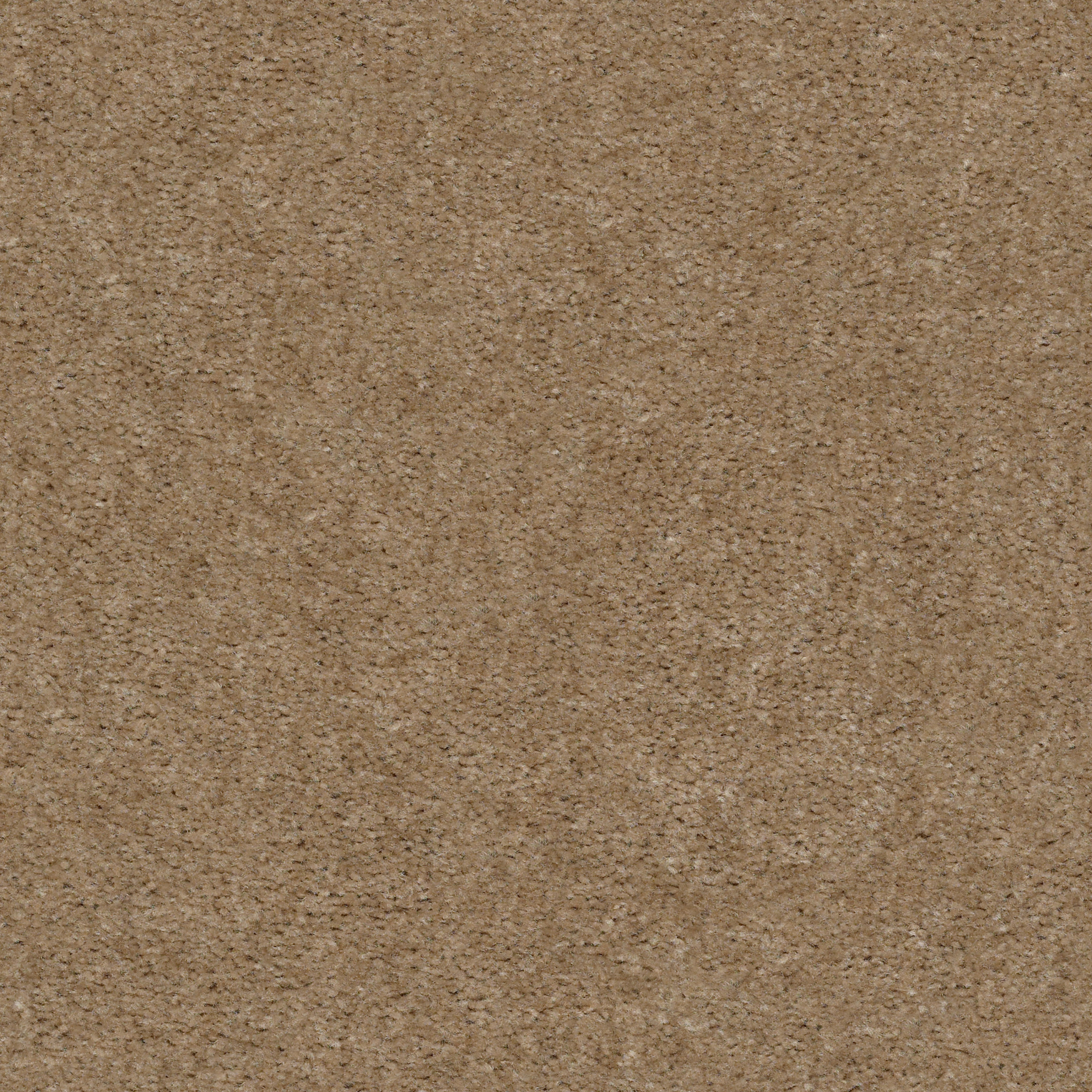 INSPIRATIONAL KANSAS SOIL MAIN