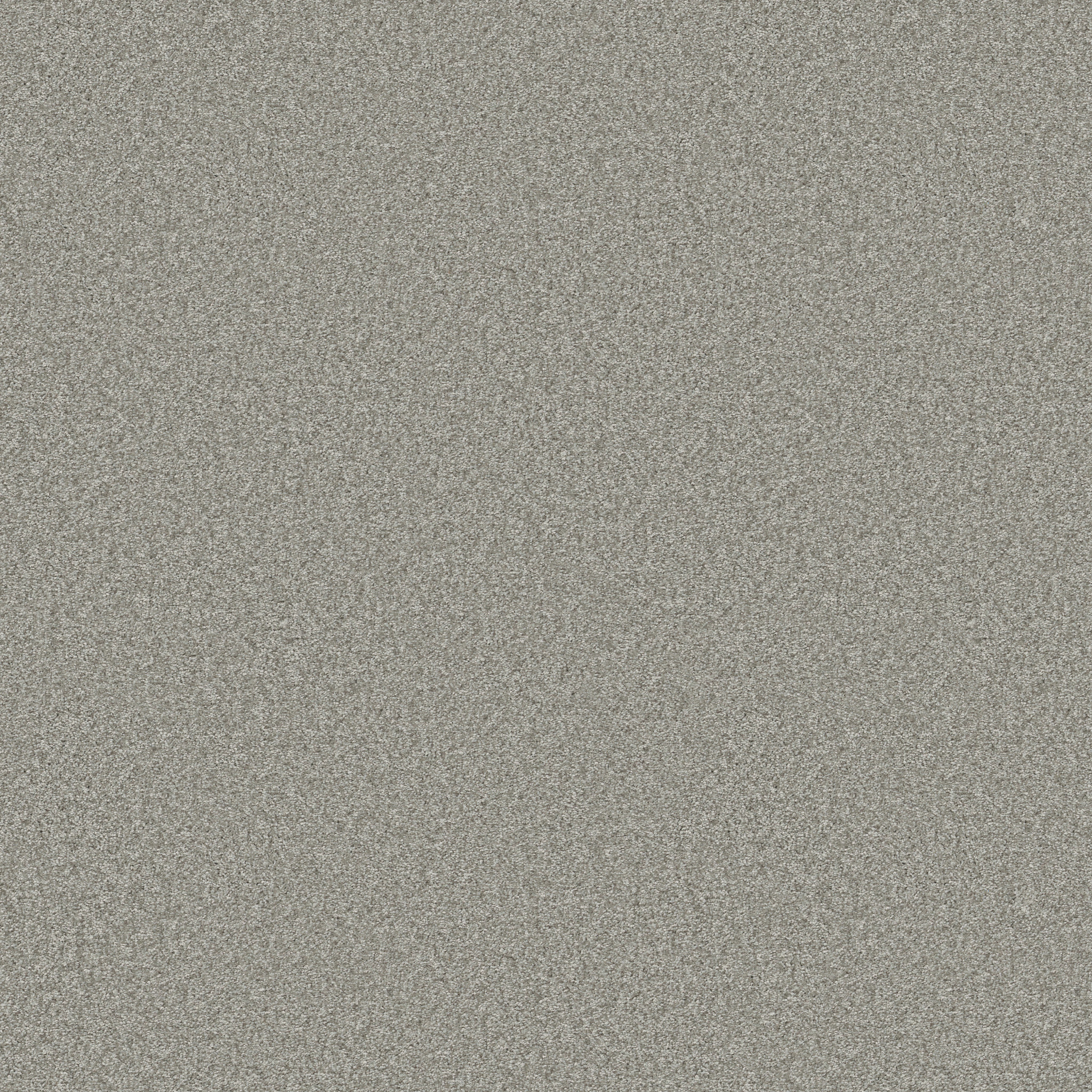 YOU GOT THIS II FROSTED LEAF MAIN