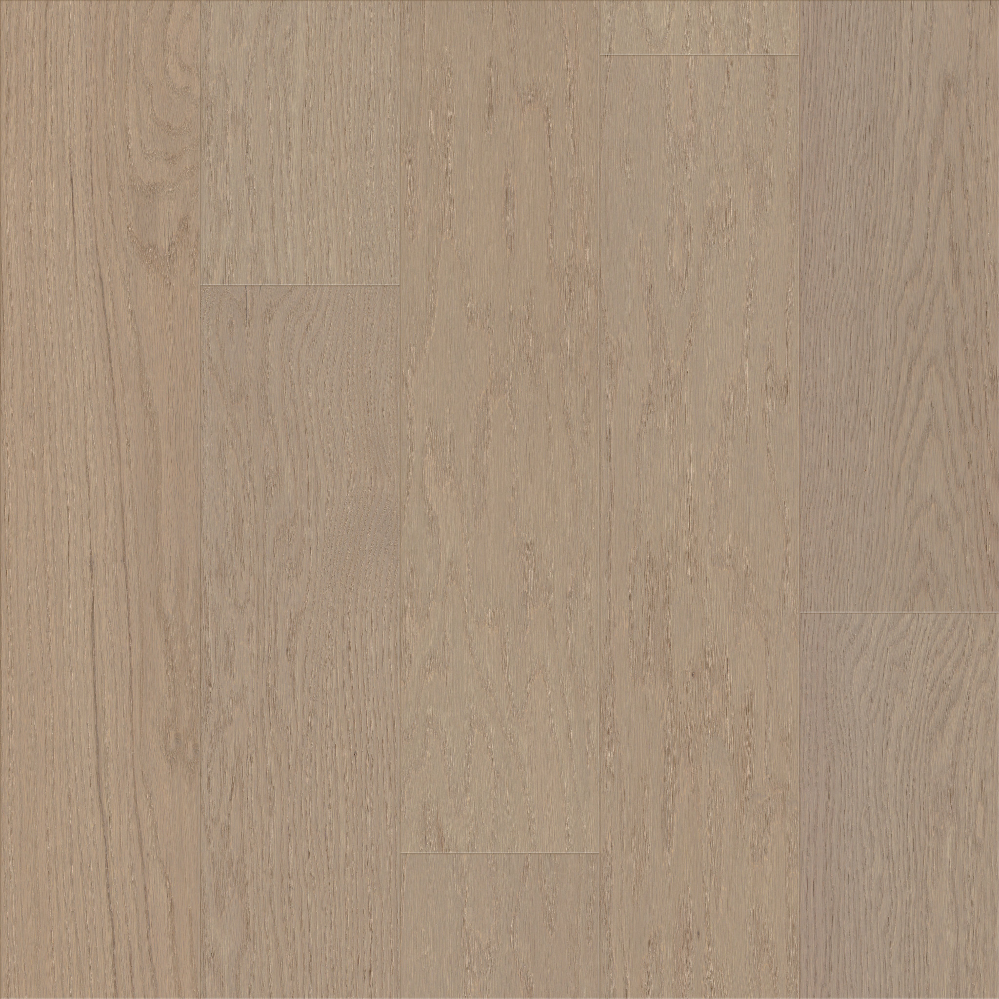 Exshaw (エクショー) ブランデー Fresh Take - in Lounge Greige | Shaw Floors