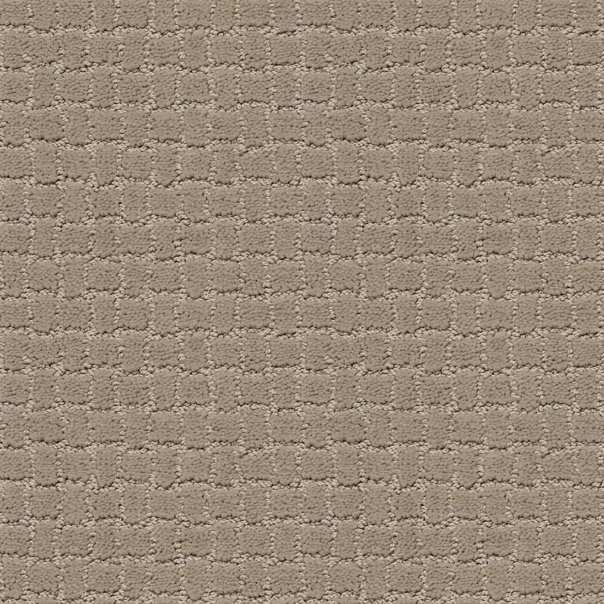 PAWSTRUCK MOCHA CREAM MAIN