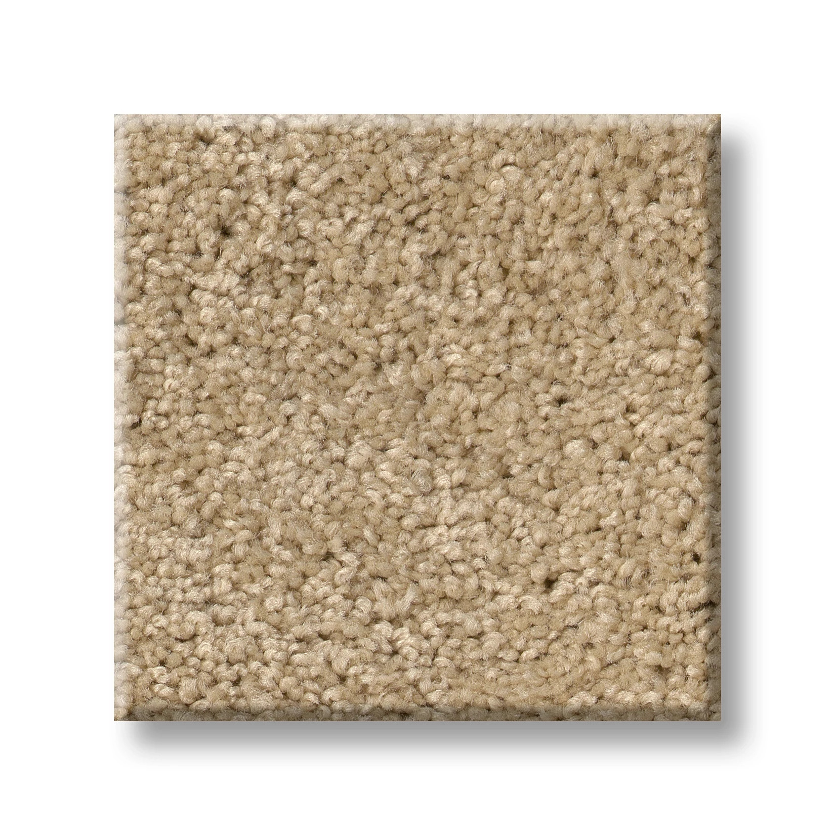 HARLEY STREET I SEMOLINA SWATCH