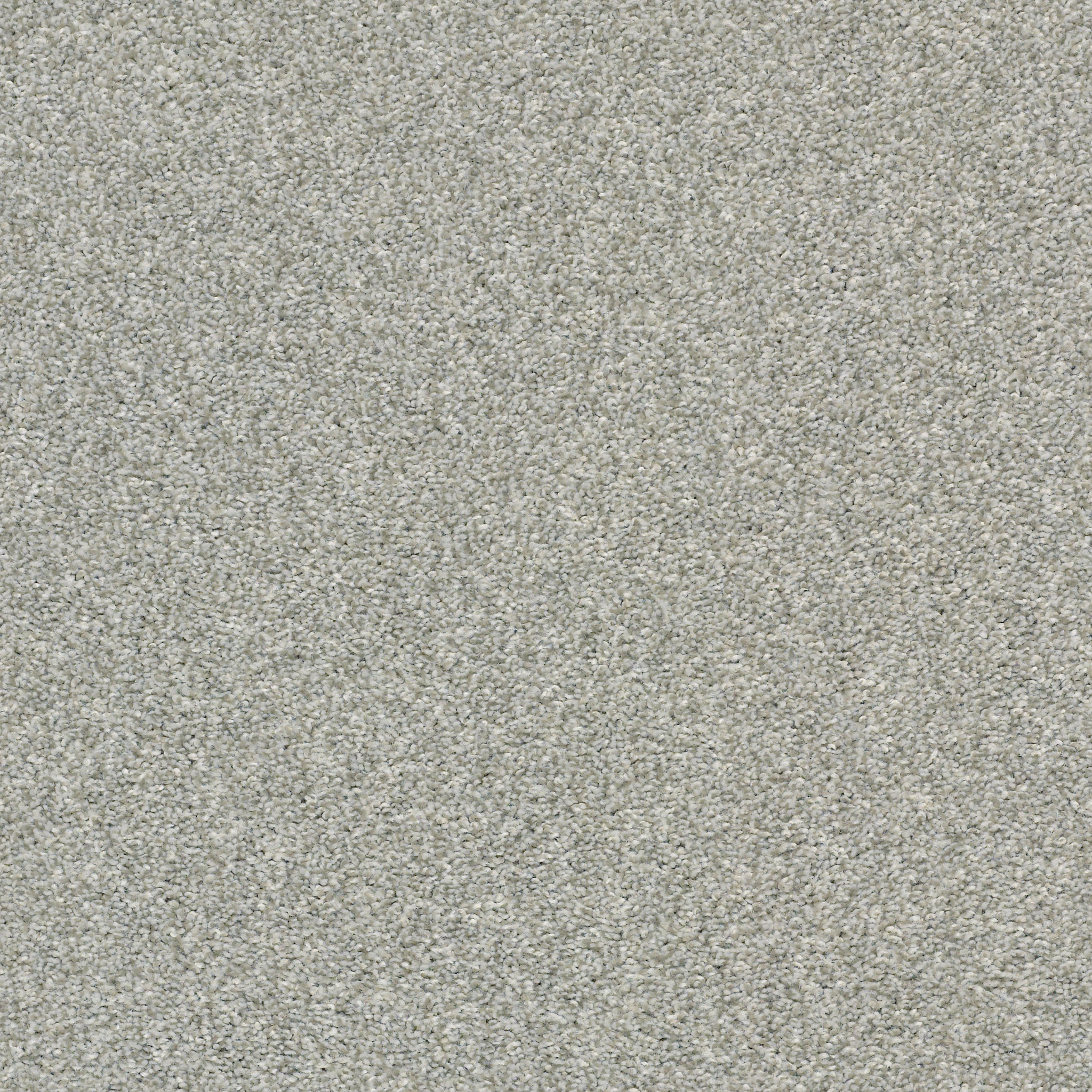 CABANA LIFE (T) FOG SWATCH