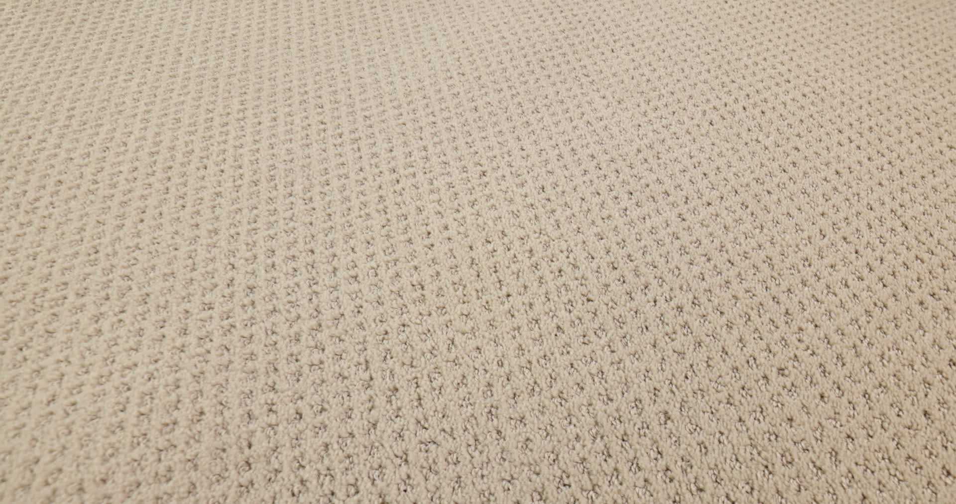 SQUARE ONE FROST 360PROD