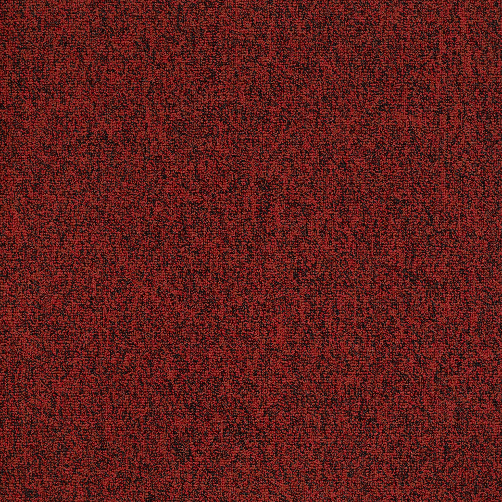 MULTIPLICITY-24X24-54594-FORTUNE-00810-main-image