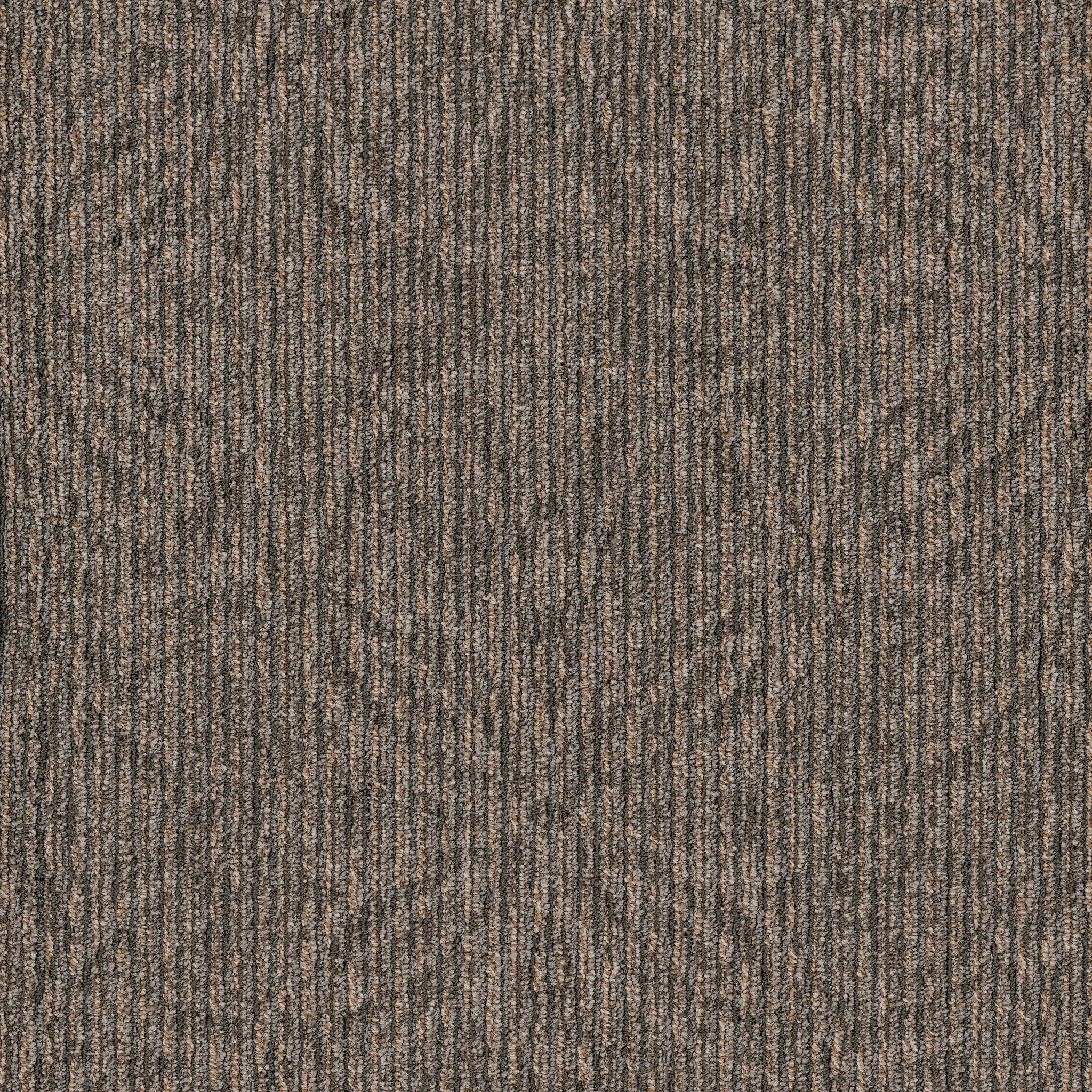 ANTIQUE-CHARM-54851-DURHAM-00520-main-image