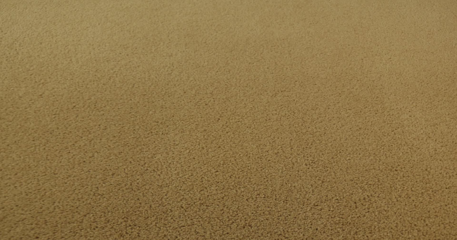 FINERY GOLD COIN 360PROD