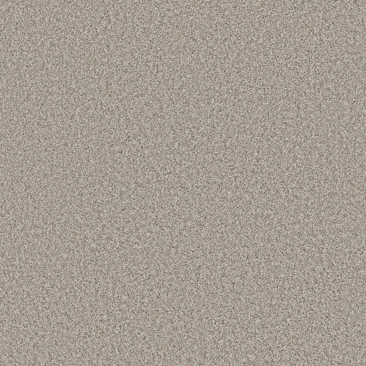 Shaw Floors SOFT RADIANCE — DAWN BEIGE