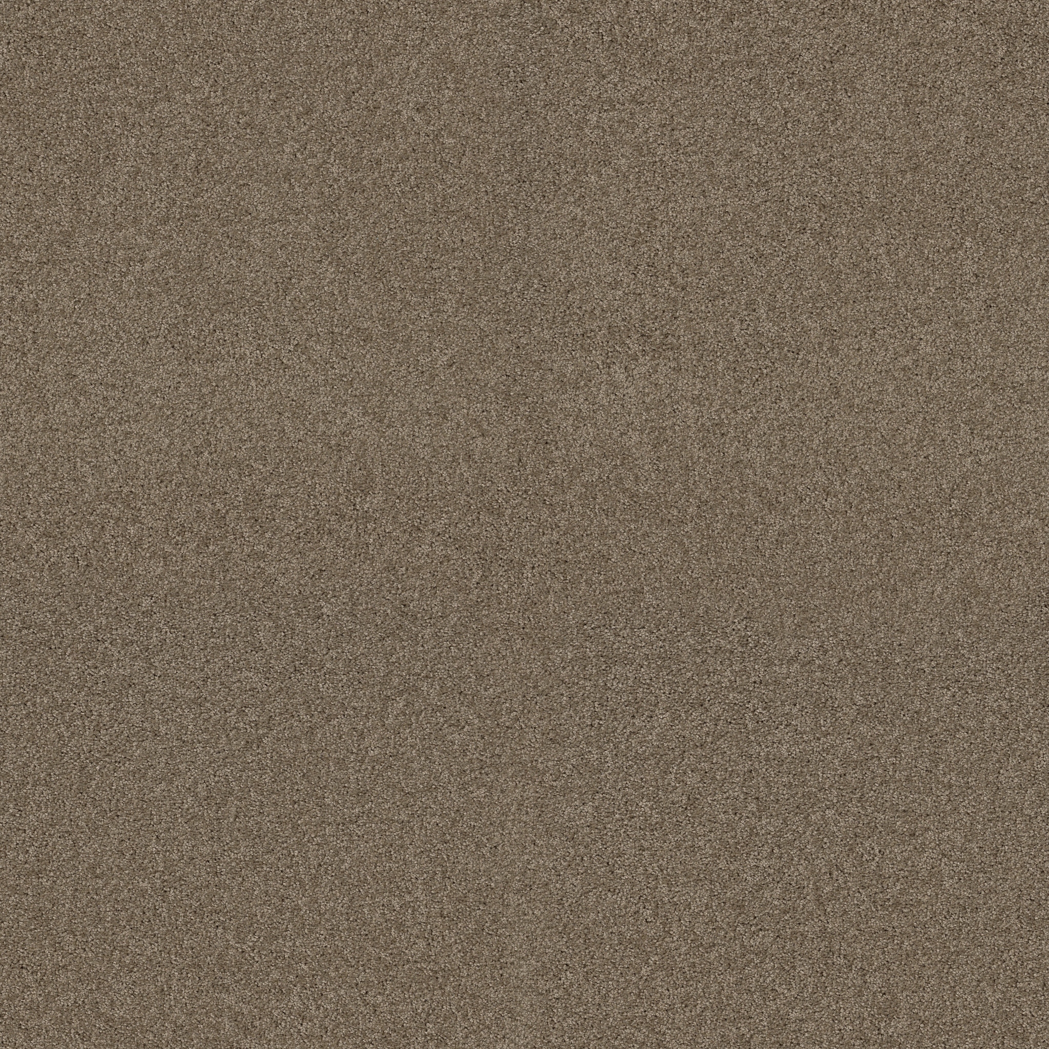 MY CHOICE I CAPPUCCINO MAIN