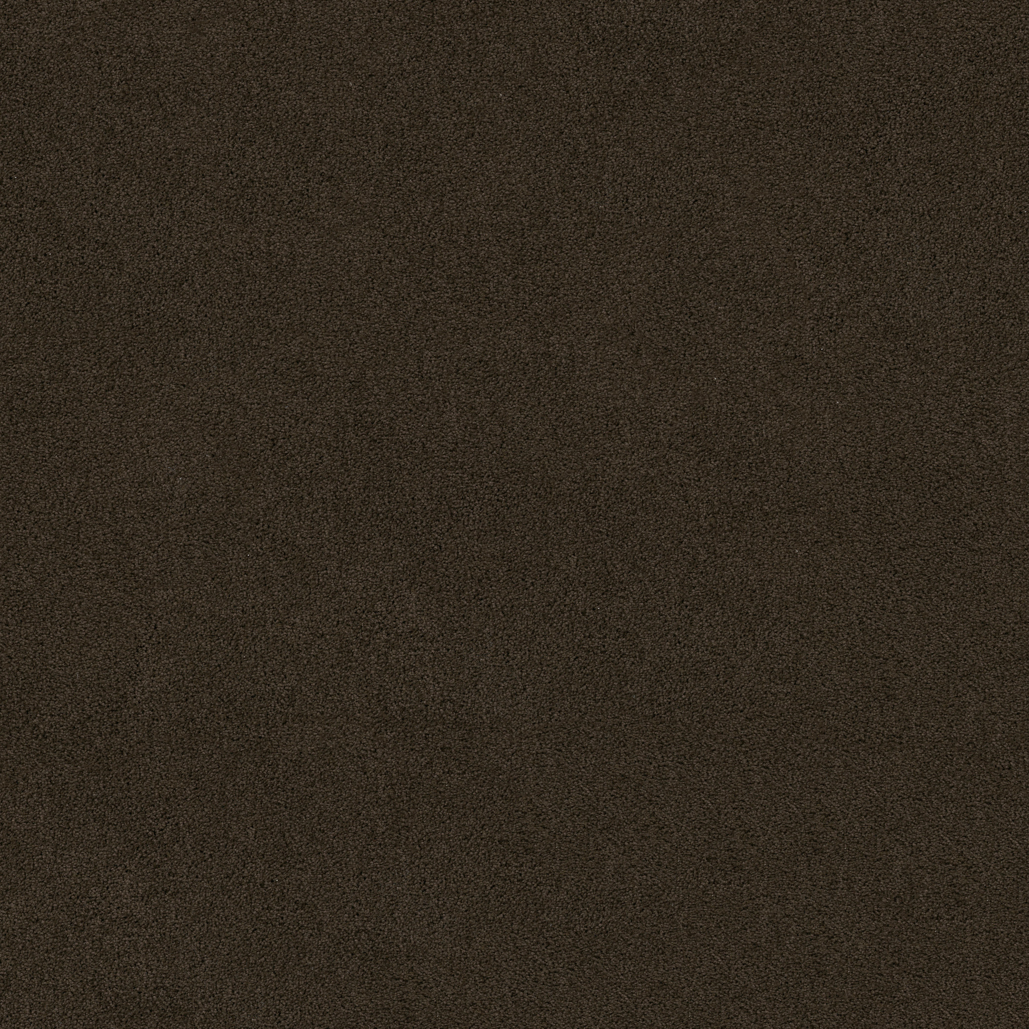 HARLEY STREET I WOODRIDGE MAIN