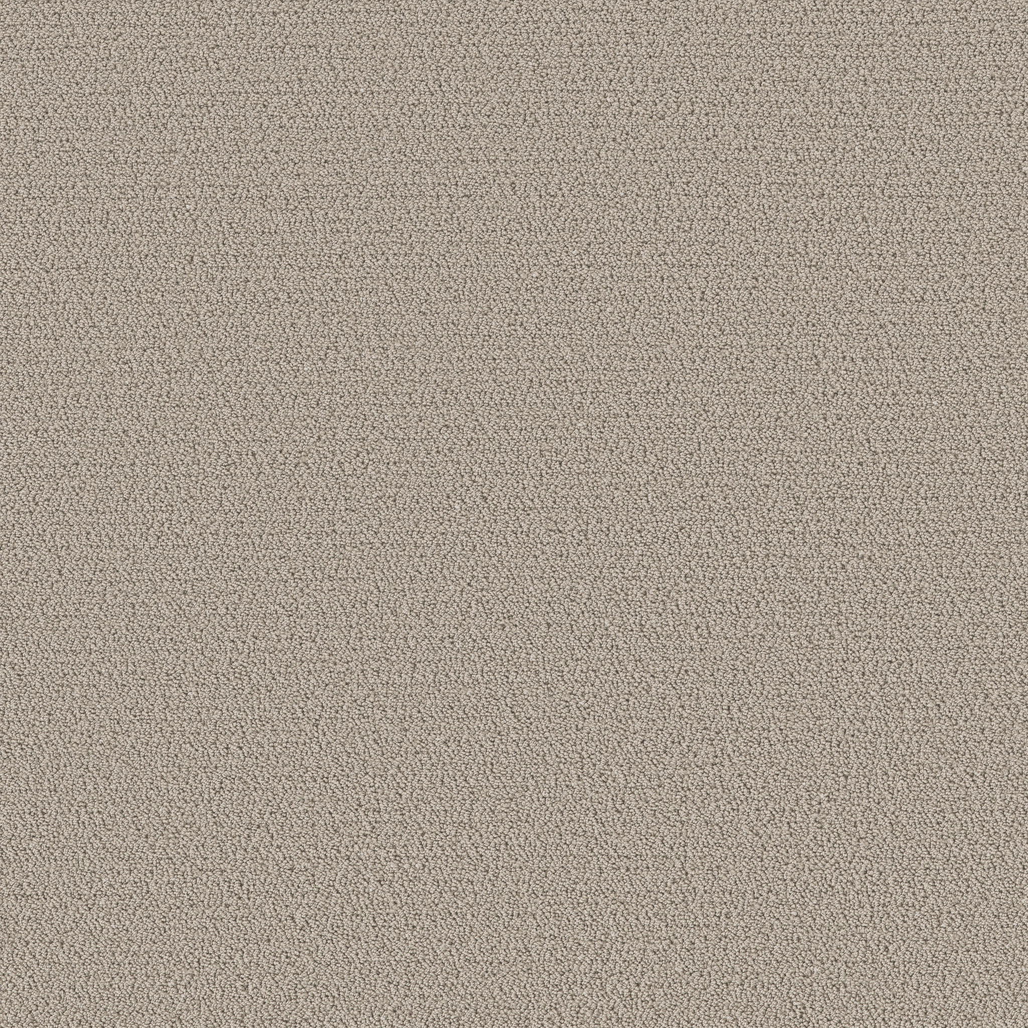 Intricate Trace SCULPTURE MAIN