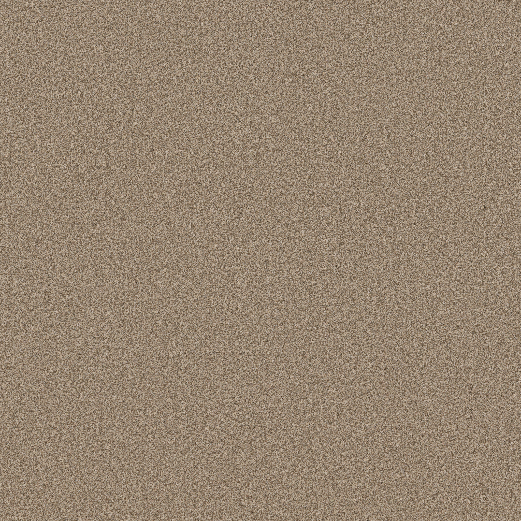 SOMERSET SUGAR COOKIE MAIN