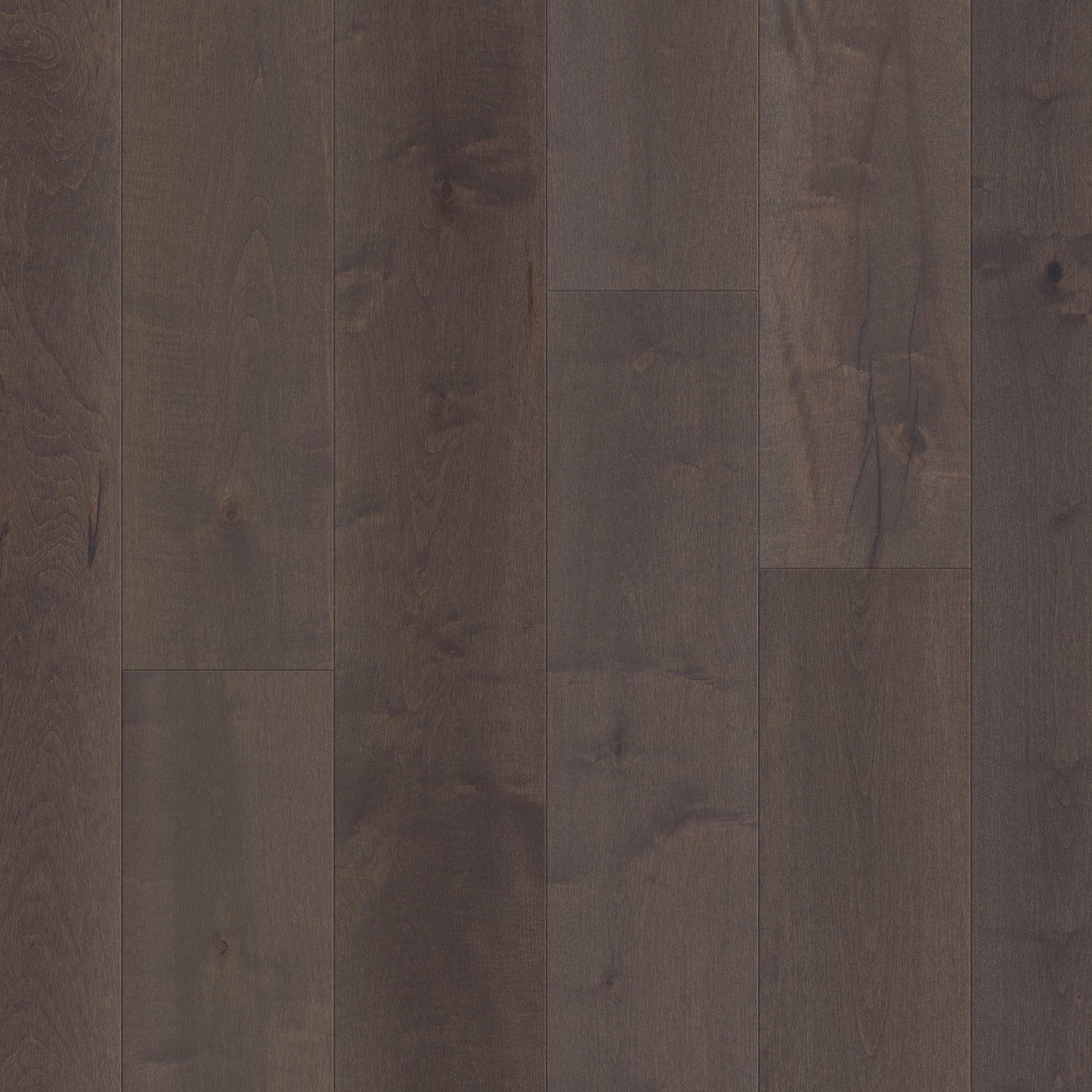 Eclectic Oak - in color Skyscraper | Shaw Floors