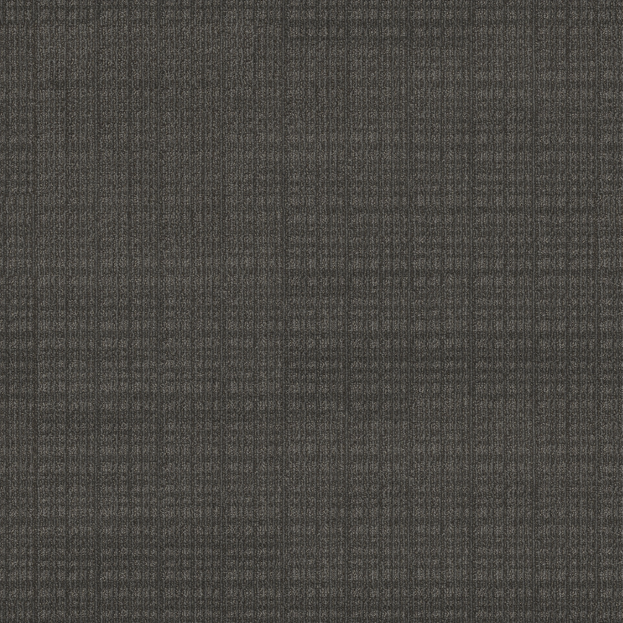 ランスカーソン！9.6フィート LANCE CARSON 7'6