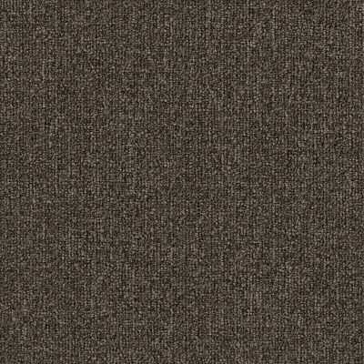 Casual Boucle (54637) Carpet | Philadelphia Commercial