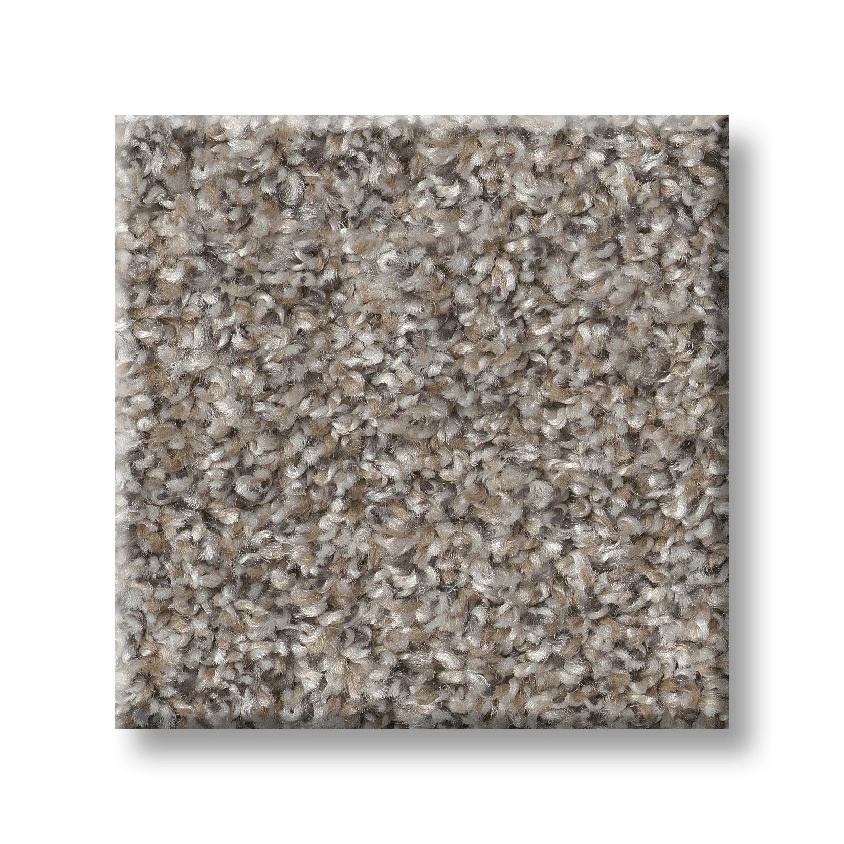 SOFT EFFERVESCENCE MUSHROOM SWATCH