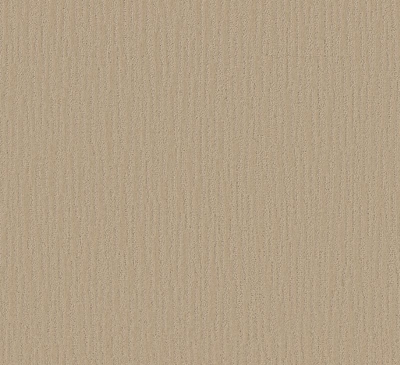 Bandon Dunes E0823 Broadloom Carpet in Mushroom color, 12ft wide, made of 100% nylon