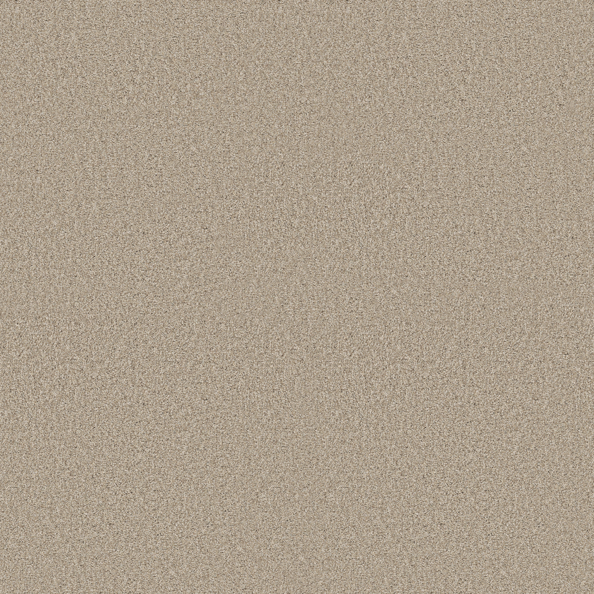 Find Your Comfort I - Tonal - Sun Kissed (T) Carpet | Shaw