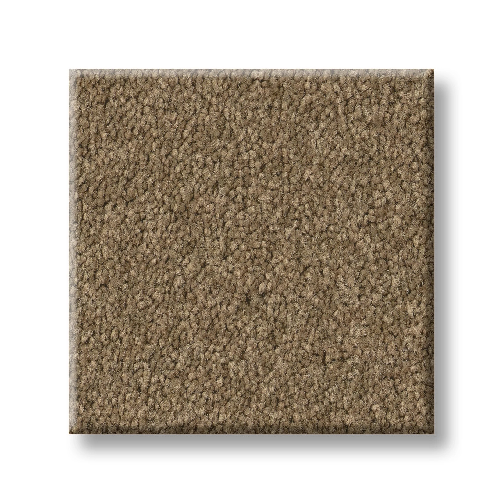 TIMELESS APPEAL III 12' MOJAVE SWATCH