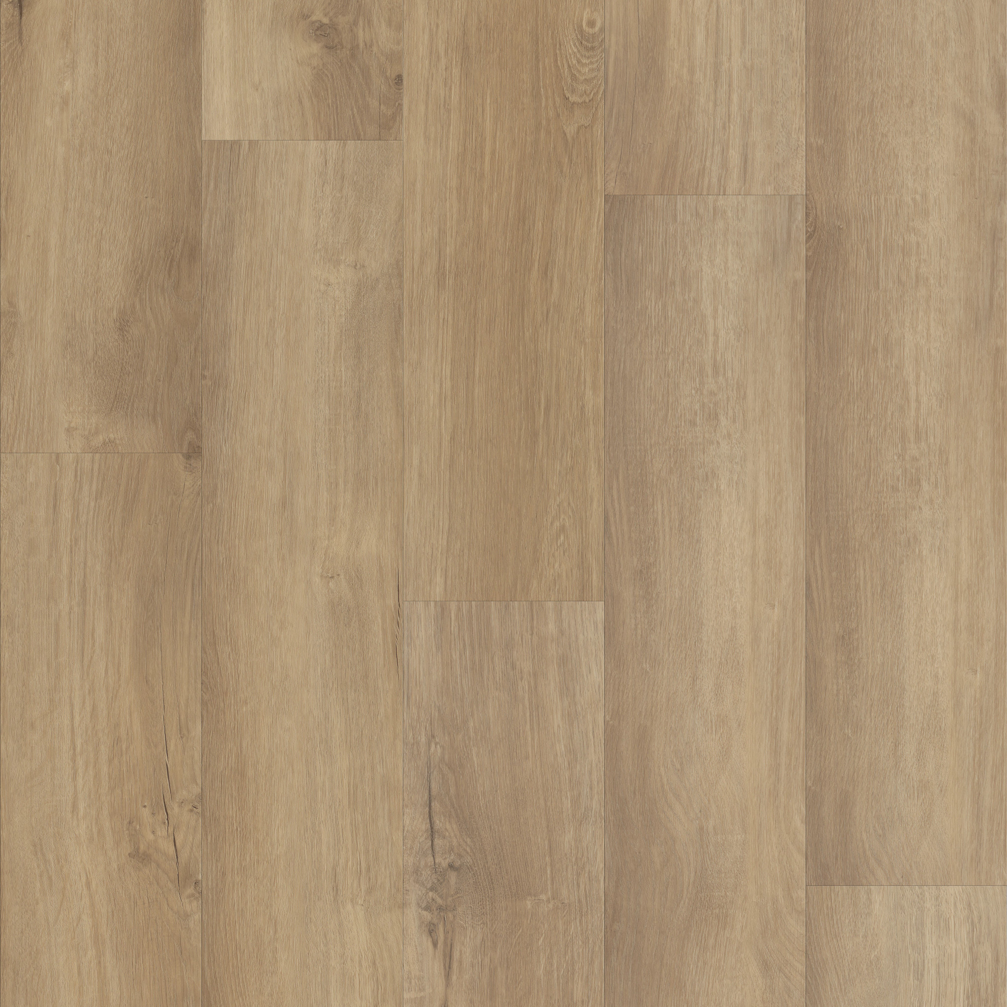 FORTITUDE-5601V-MARINA-02014-main-image