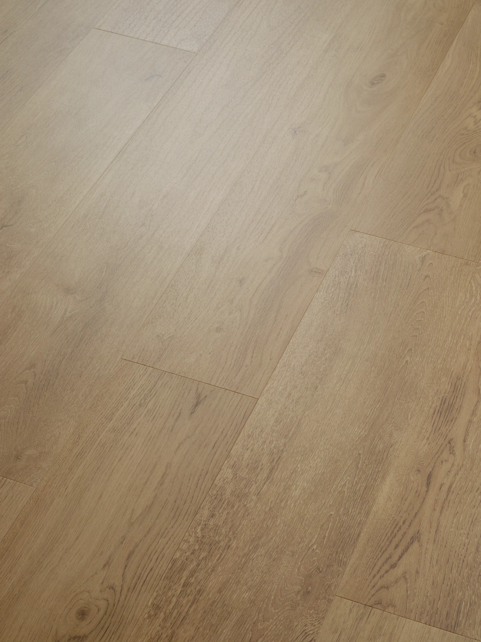 BALTIMORE OAK 54 ANGLED