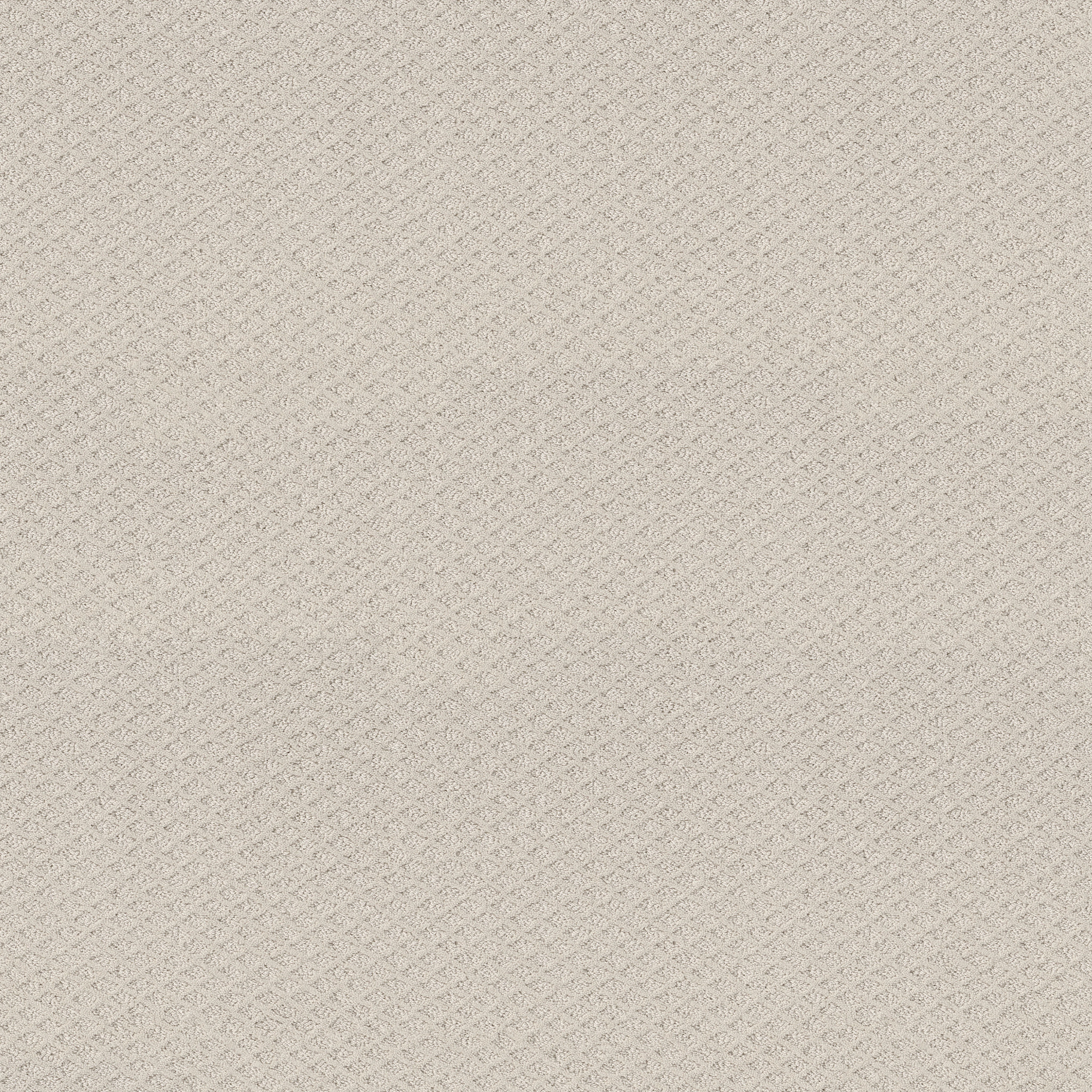 FORMALIZE WINTERS DAWN MAIN