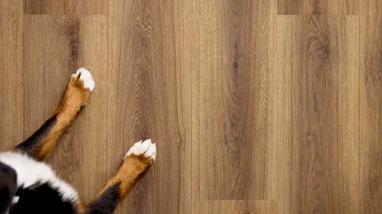 Light Textured Flooring in Modern Living Room with Dog and Glass Door Modern living room with a light textured flooring, featuring a person walking a golden retriever through a glass door