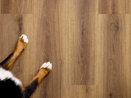 Contemporary living room with gray flooring and stylish furniture arrangement Modern living room with gray soft surface flooring, featuring a beige sofa, orange chairs, and a black coffee table
