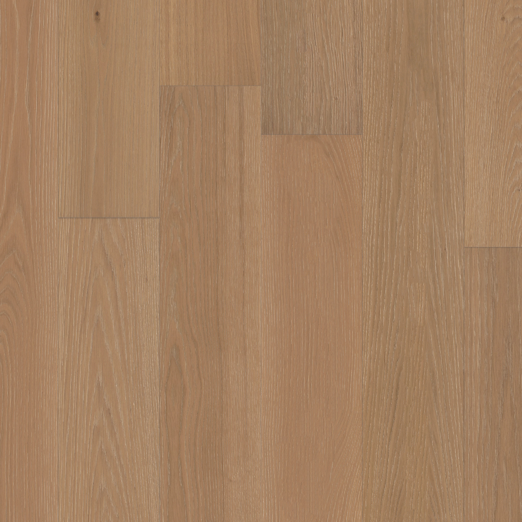 CARPENTRY OAK AMBER GLOW MAIN