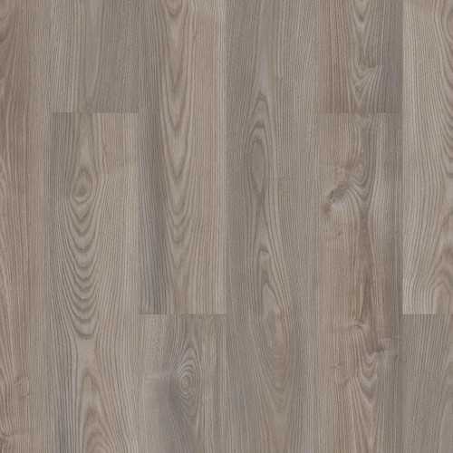 Grey Chestnut