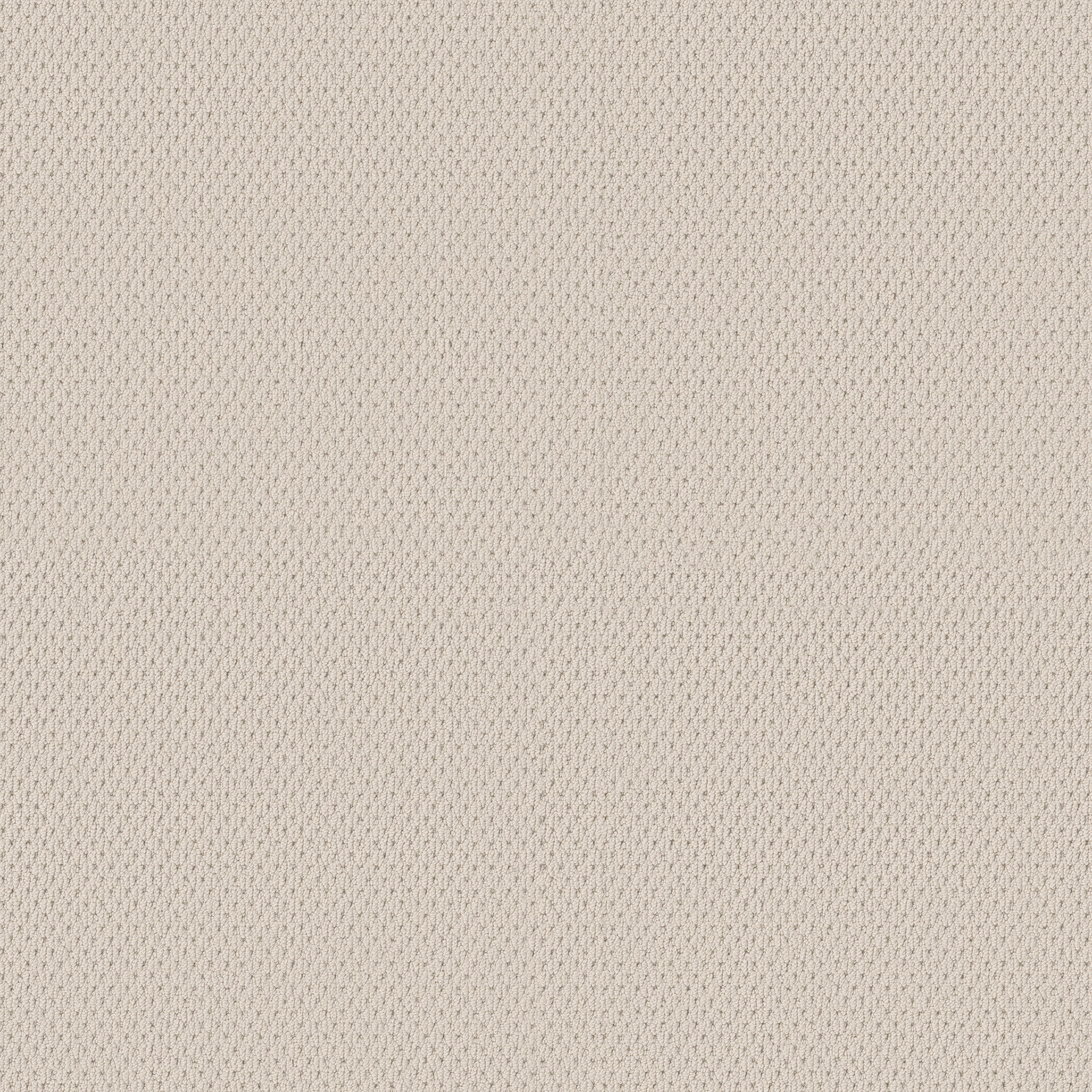 Mera - 100% Nylon in Aged White | AndersonTuftex