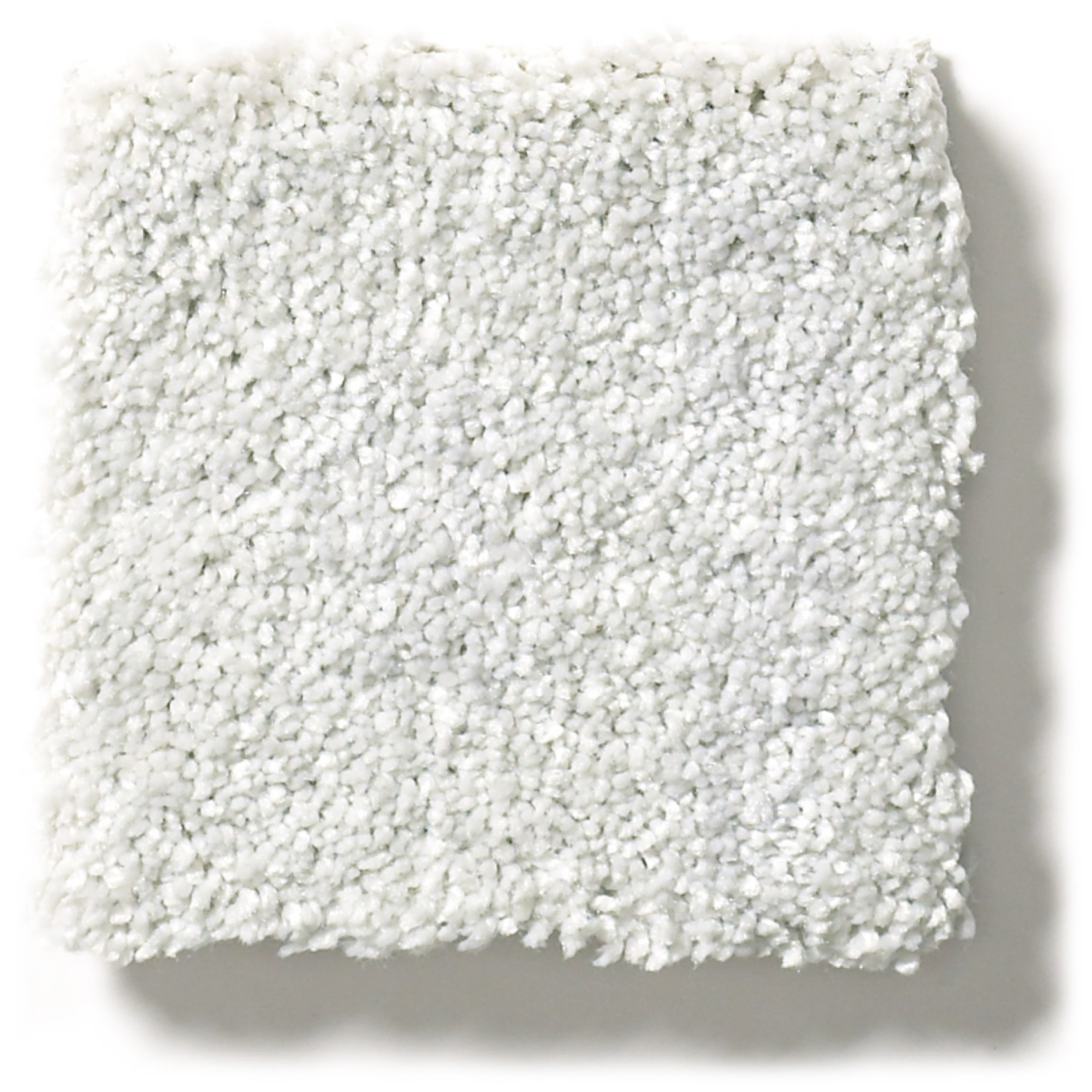 BASIC RULES MIST SWATCH