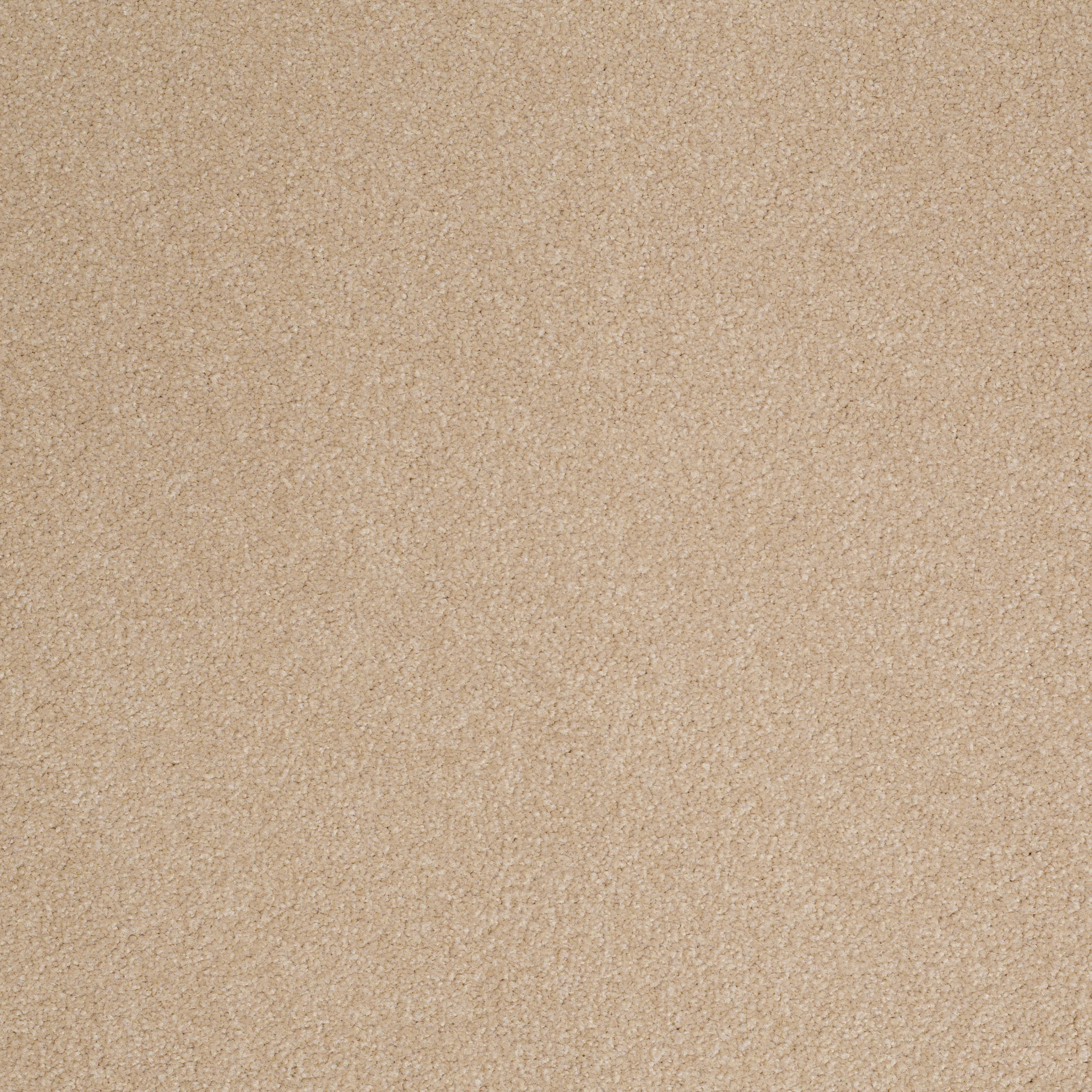 SHINGLE CREEK III 12' STUCCO MAIN