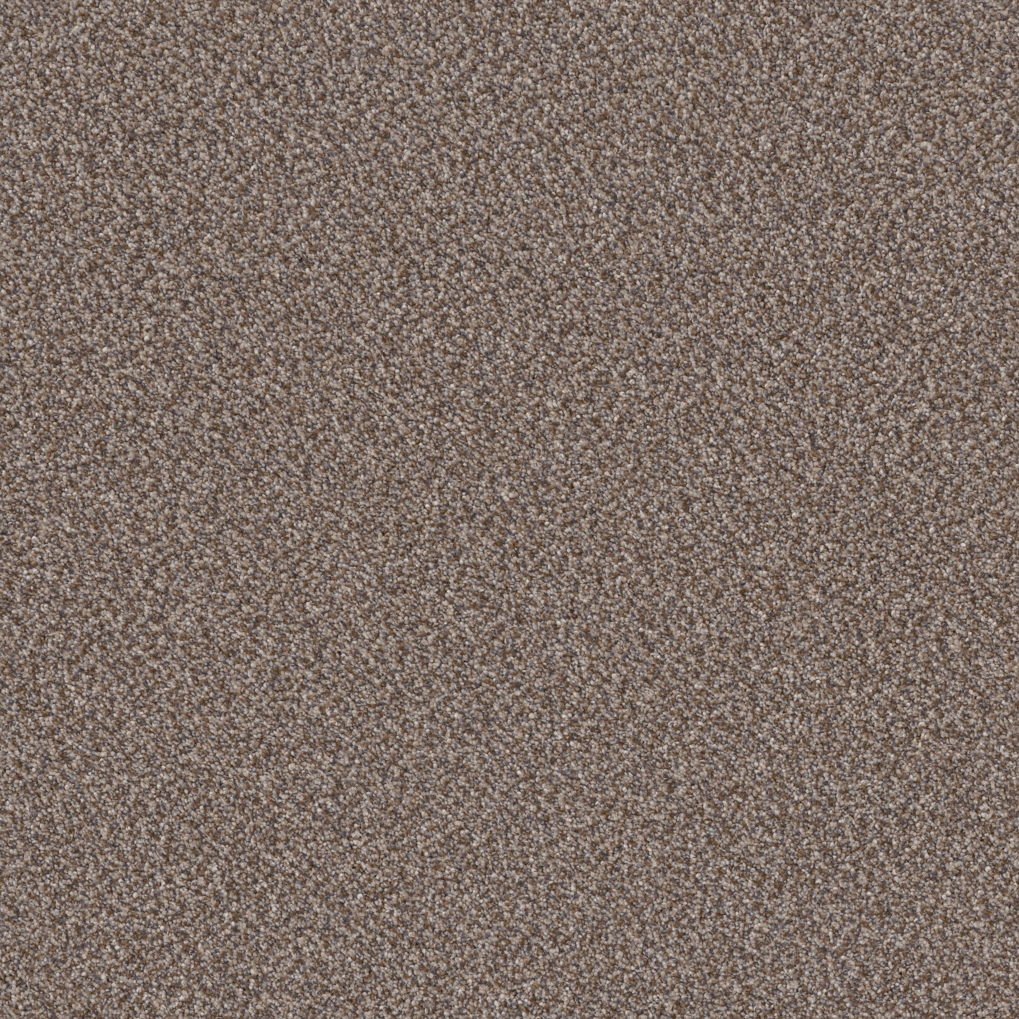 TruSpirit II COBBLE DRIVE MAIN