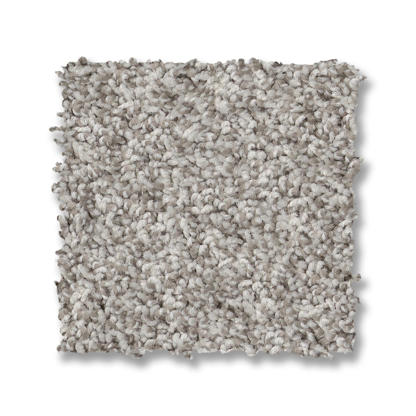 VIA NOVA PLATINUM SWATCH