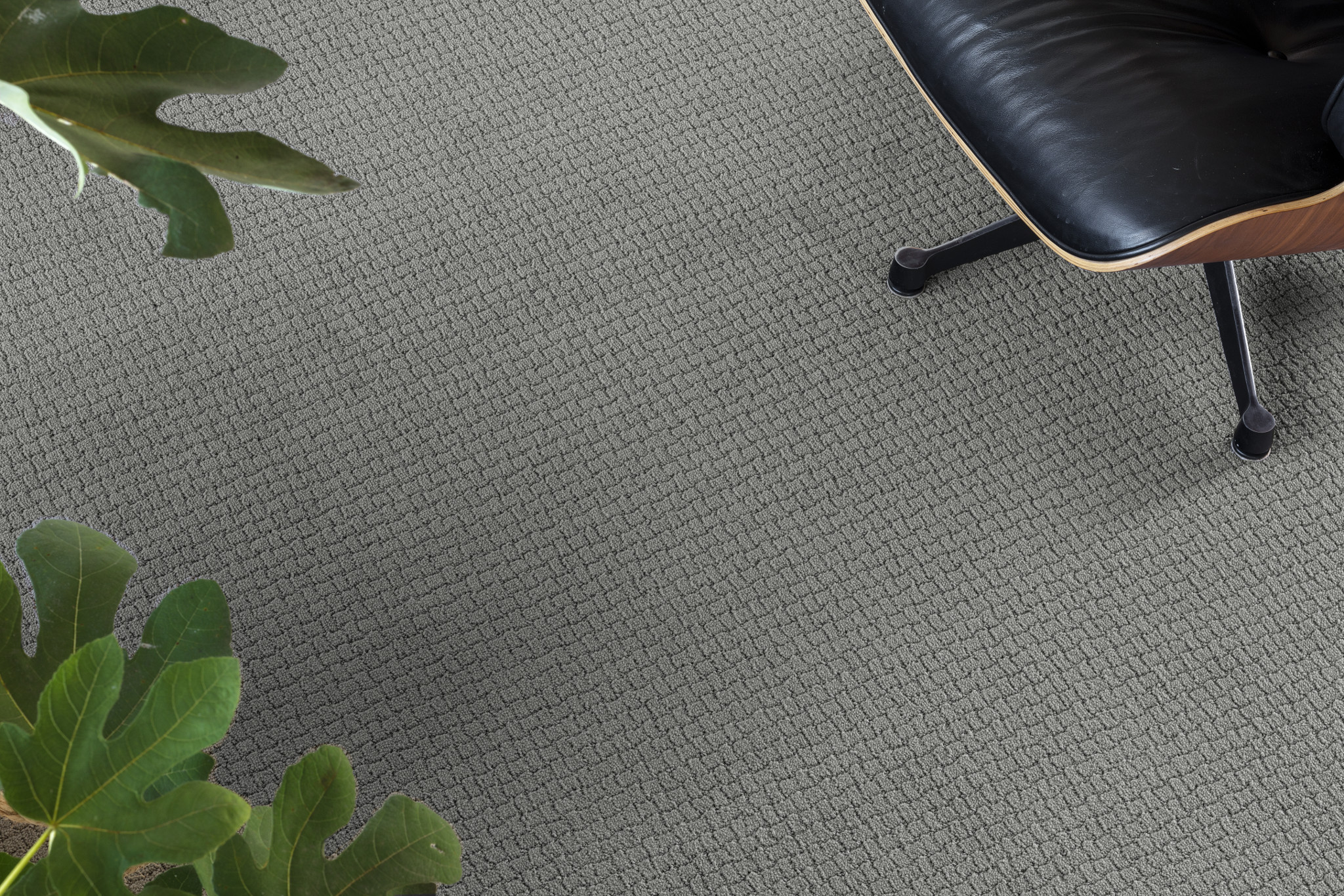 PAWSTRUCK PORTLAND StaticImage04