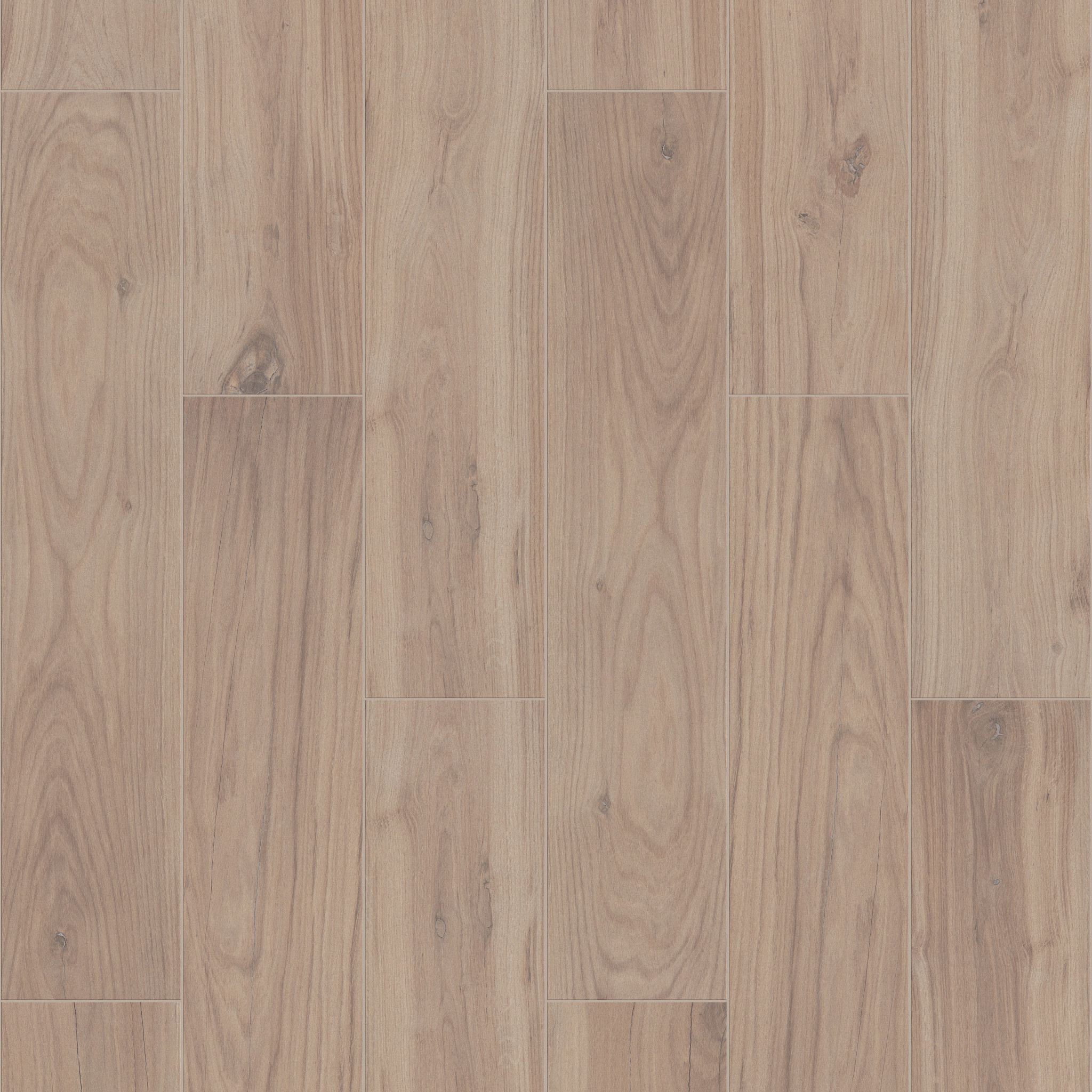 Eminent Notion 8x40 Matte - in color Oak | Shaw Floors