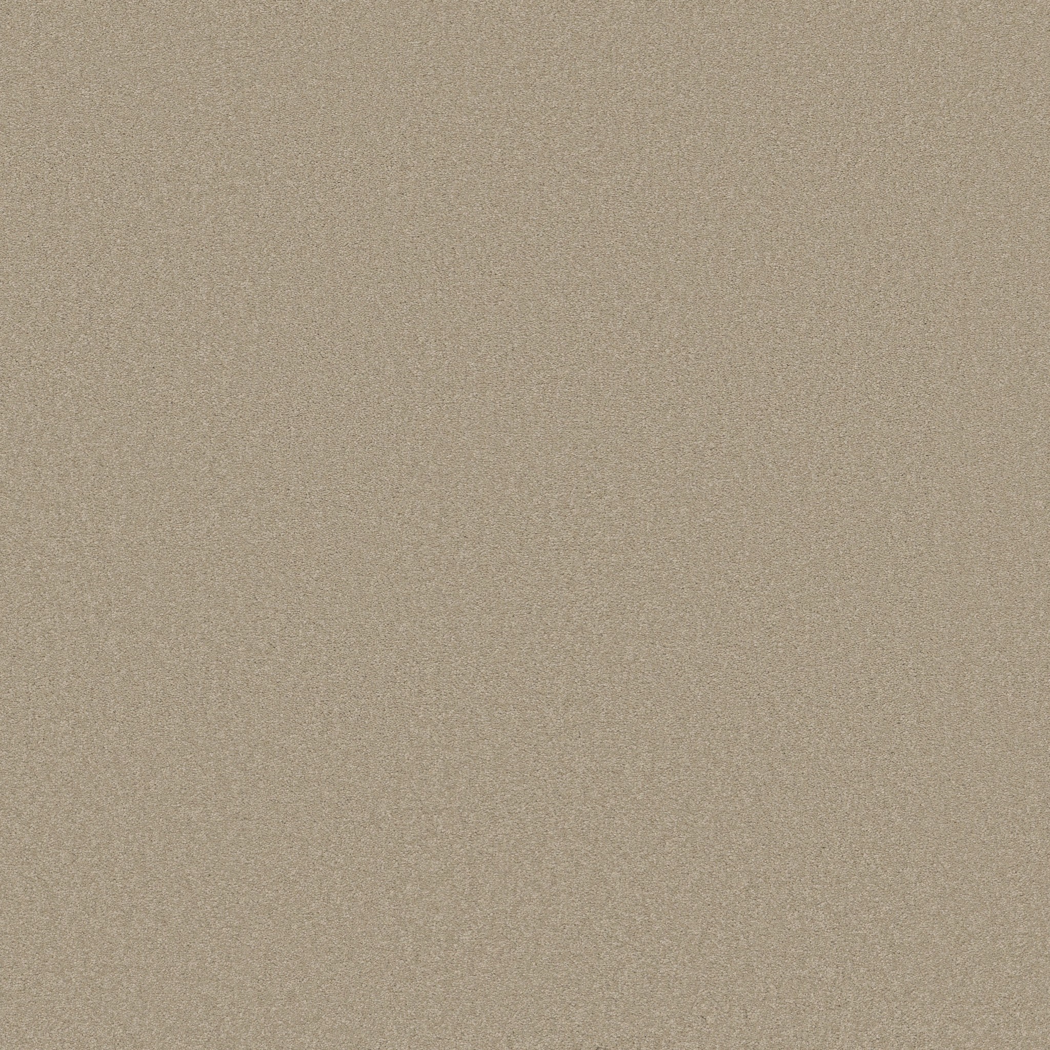 SOPHISTICATION 12' OATMEAL MAIN