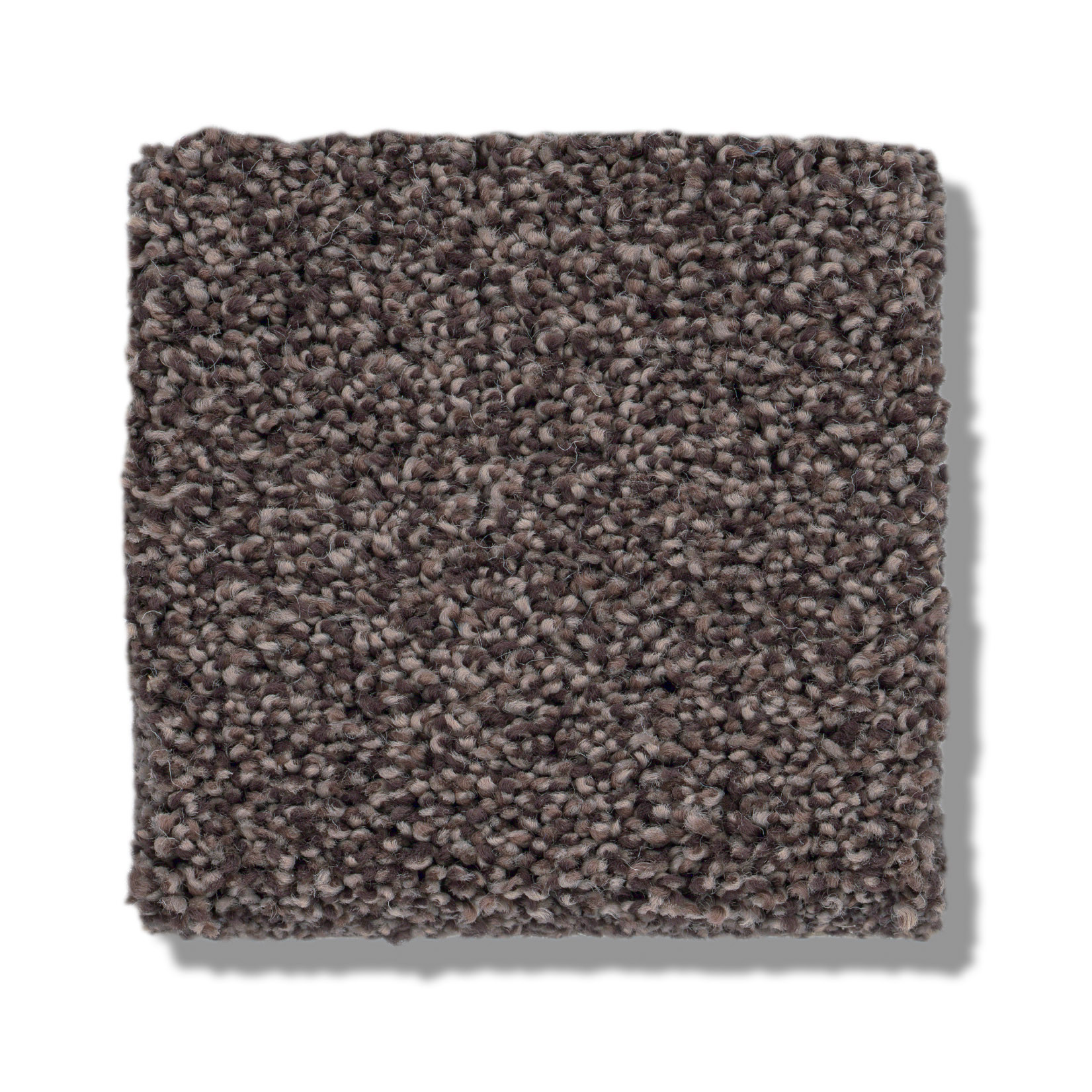 COZY HARBOR I BURMA BROWN SWATCH