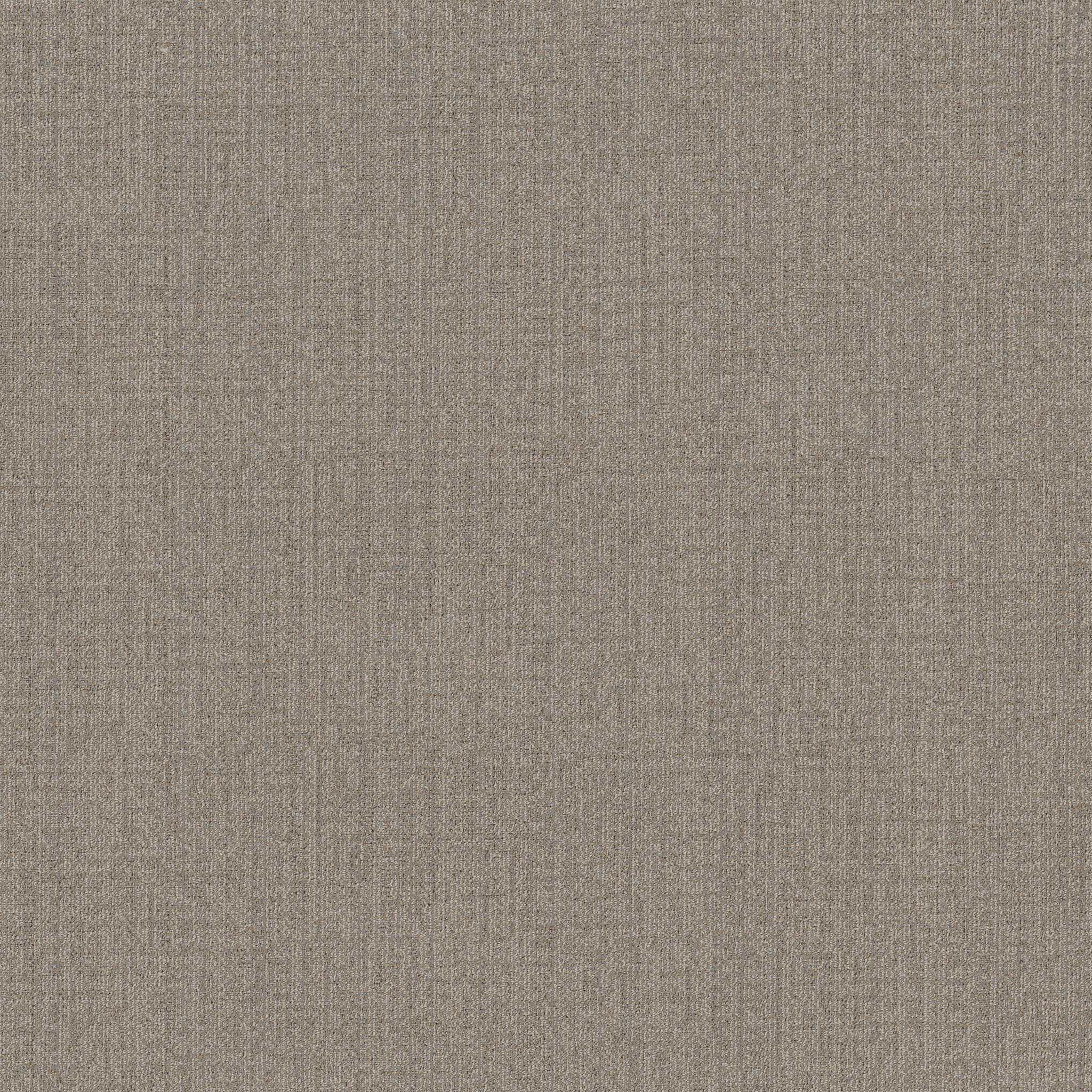 MUTED RHYTHMS BROADLOOM 55016 CHIFFON 00200 main image