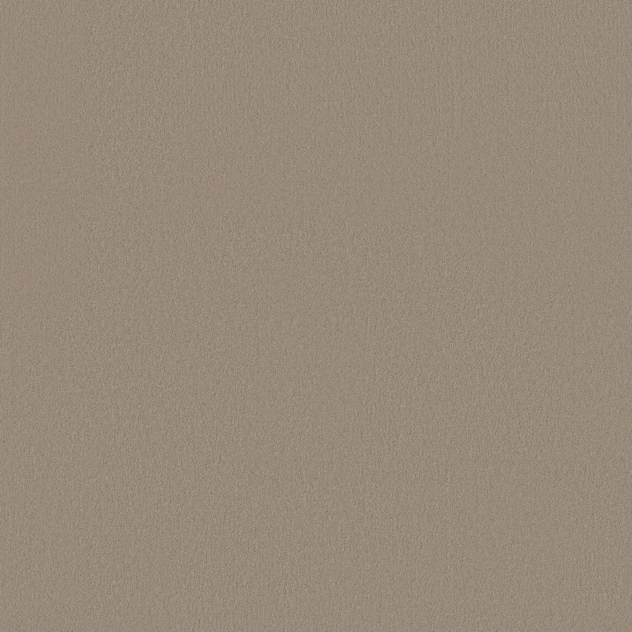 FINERY DUSTY TRAIL MAIN