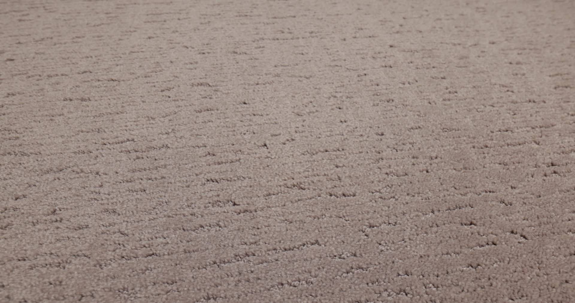 SKETCH SOCIALITE 360PROD