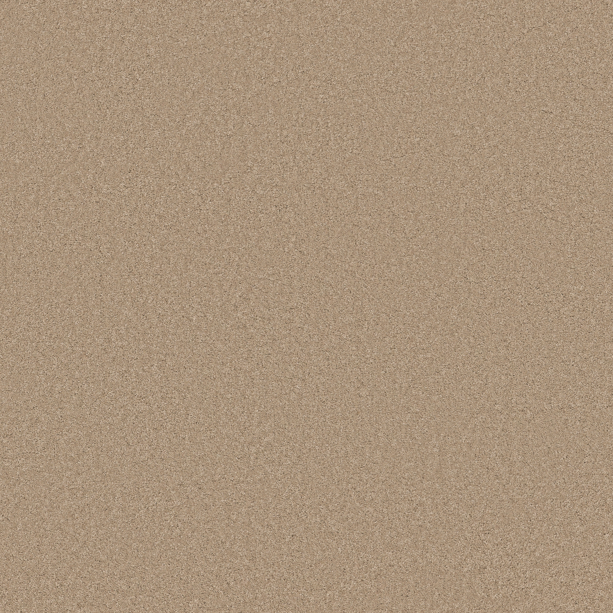 ELEGANT BEAUTY BRULEE MAIN