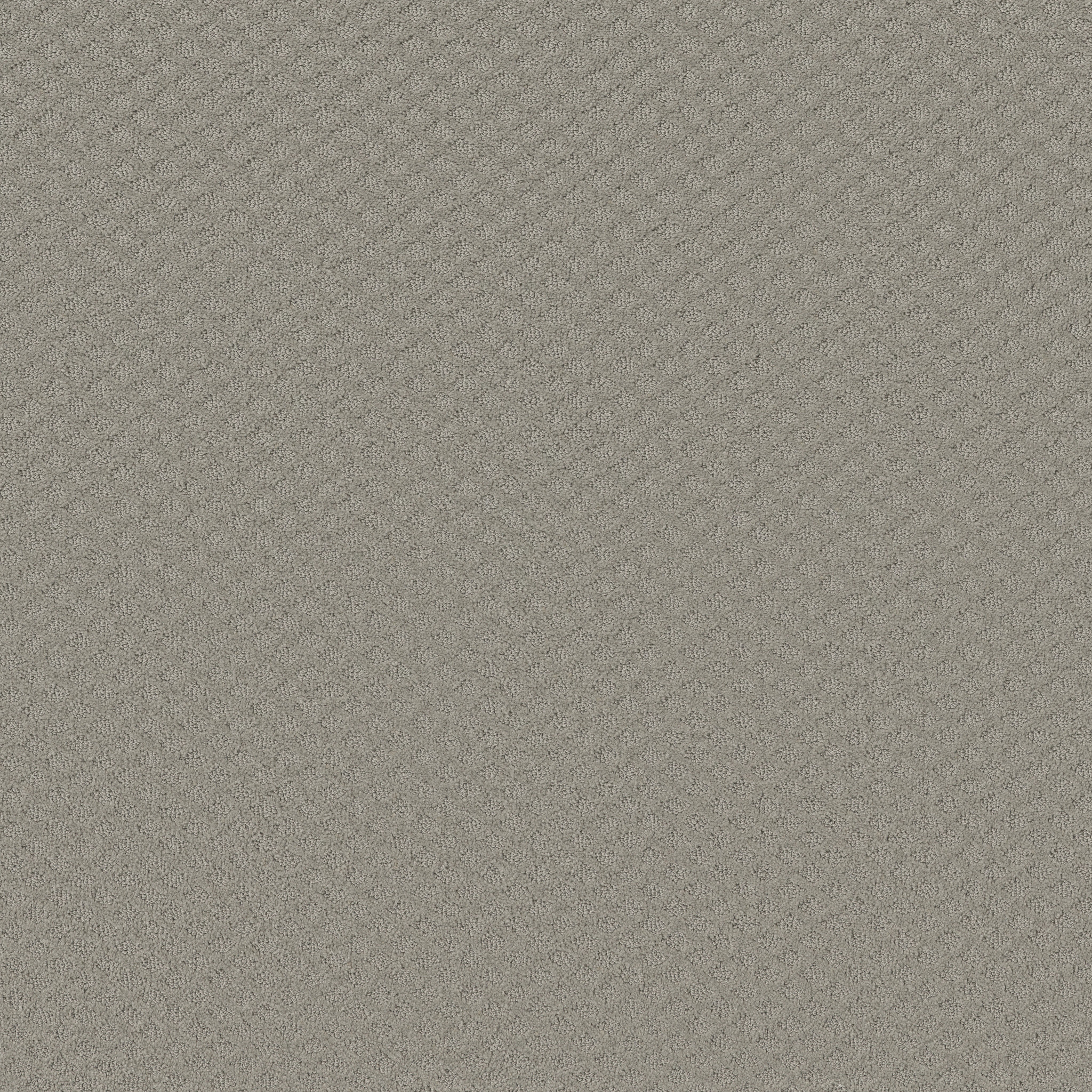 ENTWINED WITH YOU SILHOUETTE MAIN