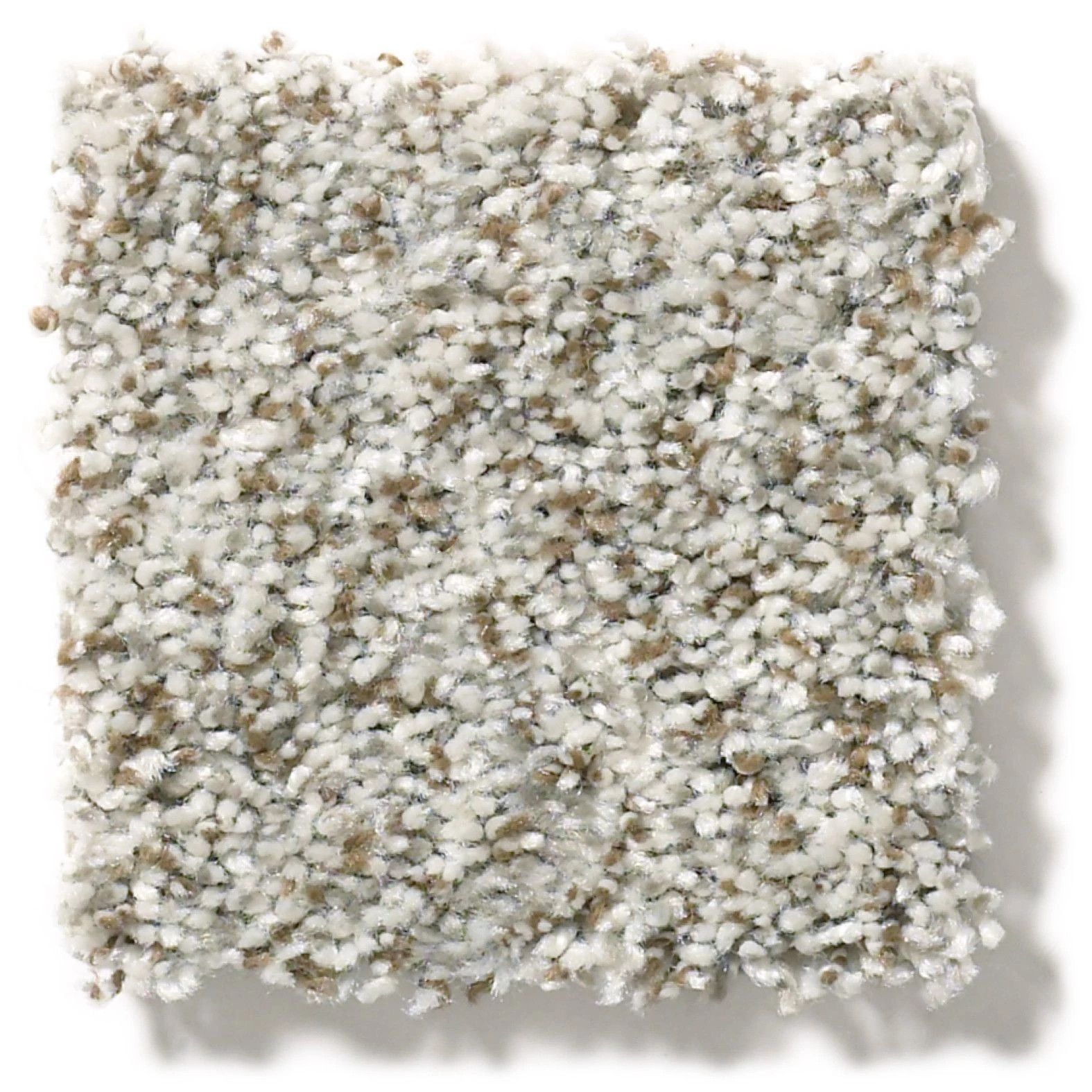 CABANA BAY (B) SEASHELL SWATCH