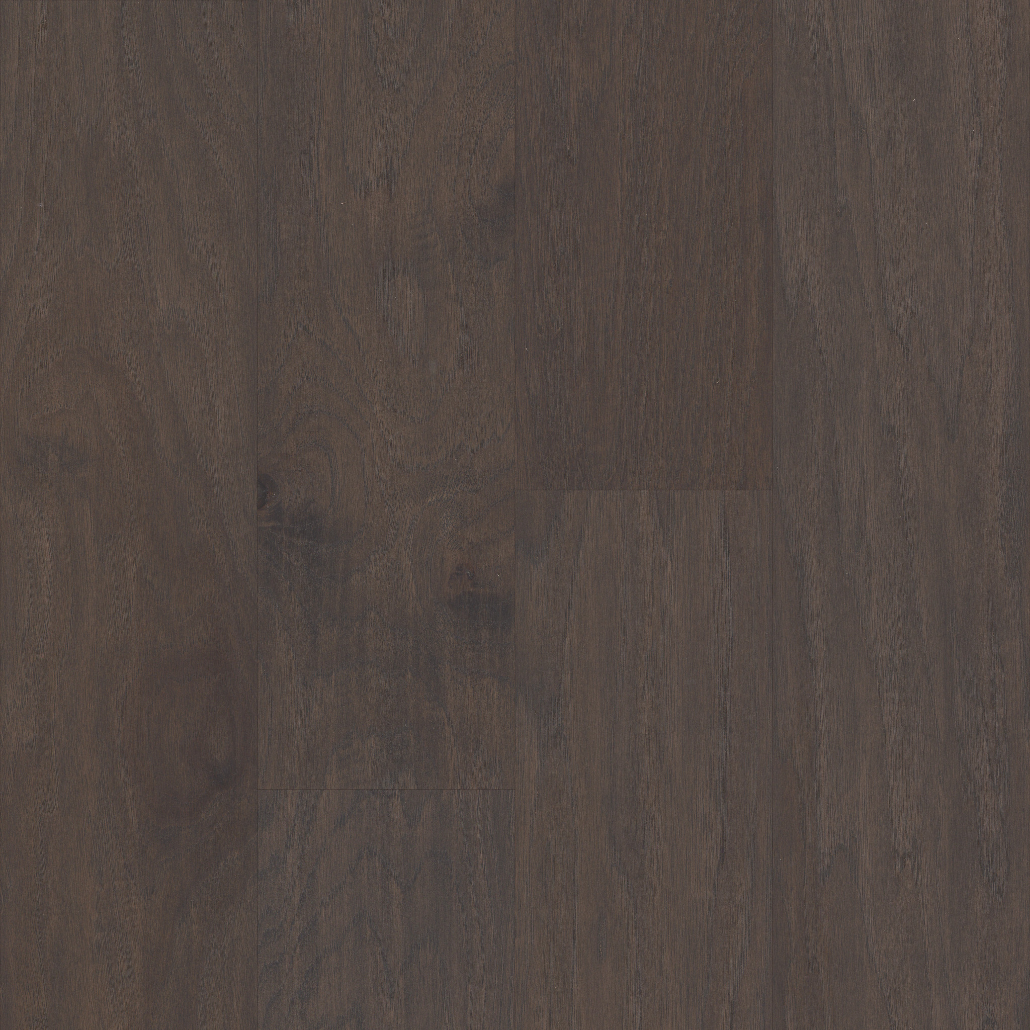 CONTINENTAL STERLING MAIN