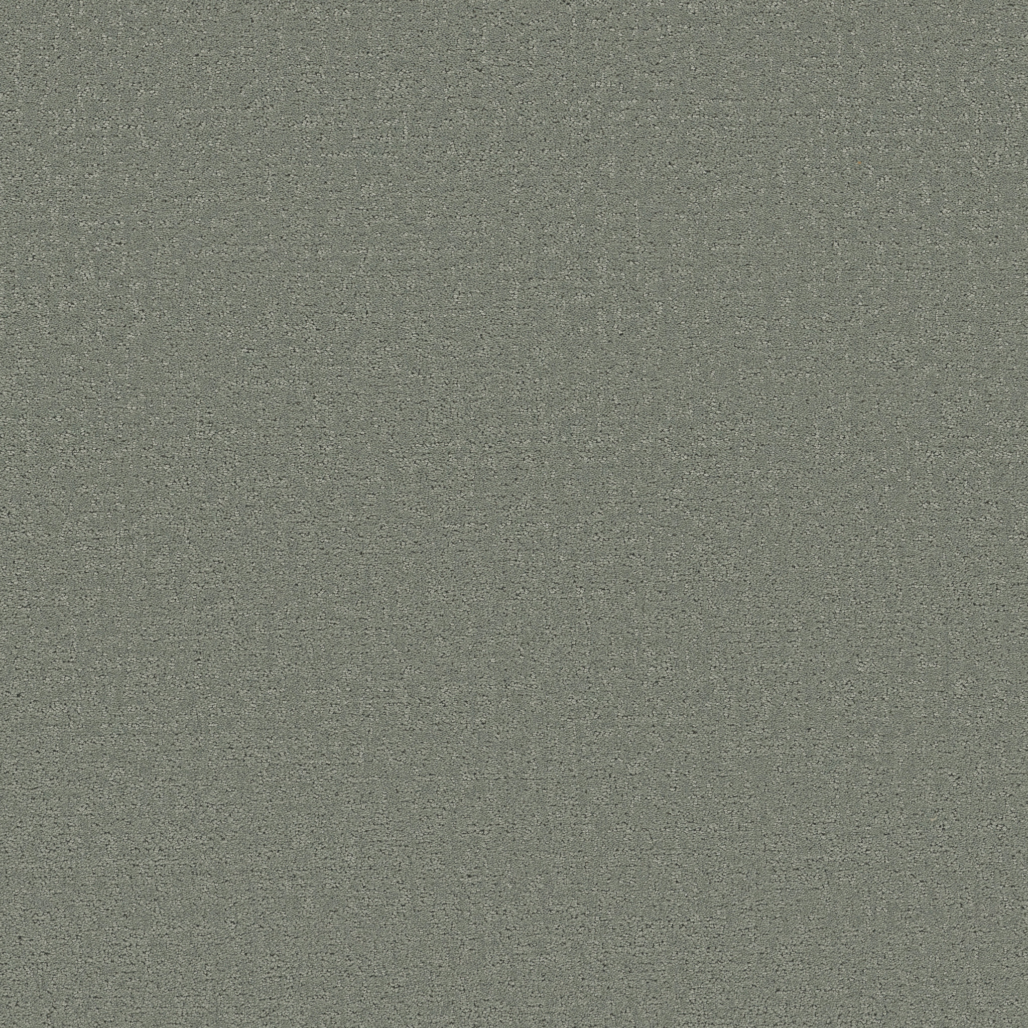 REFINED CANVAS MEADOW MAIN