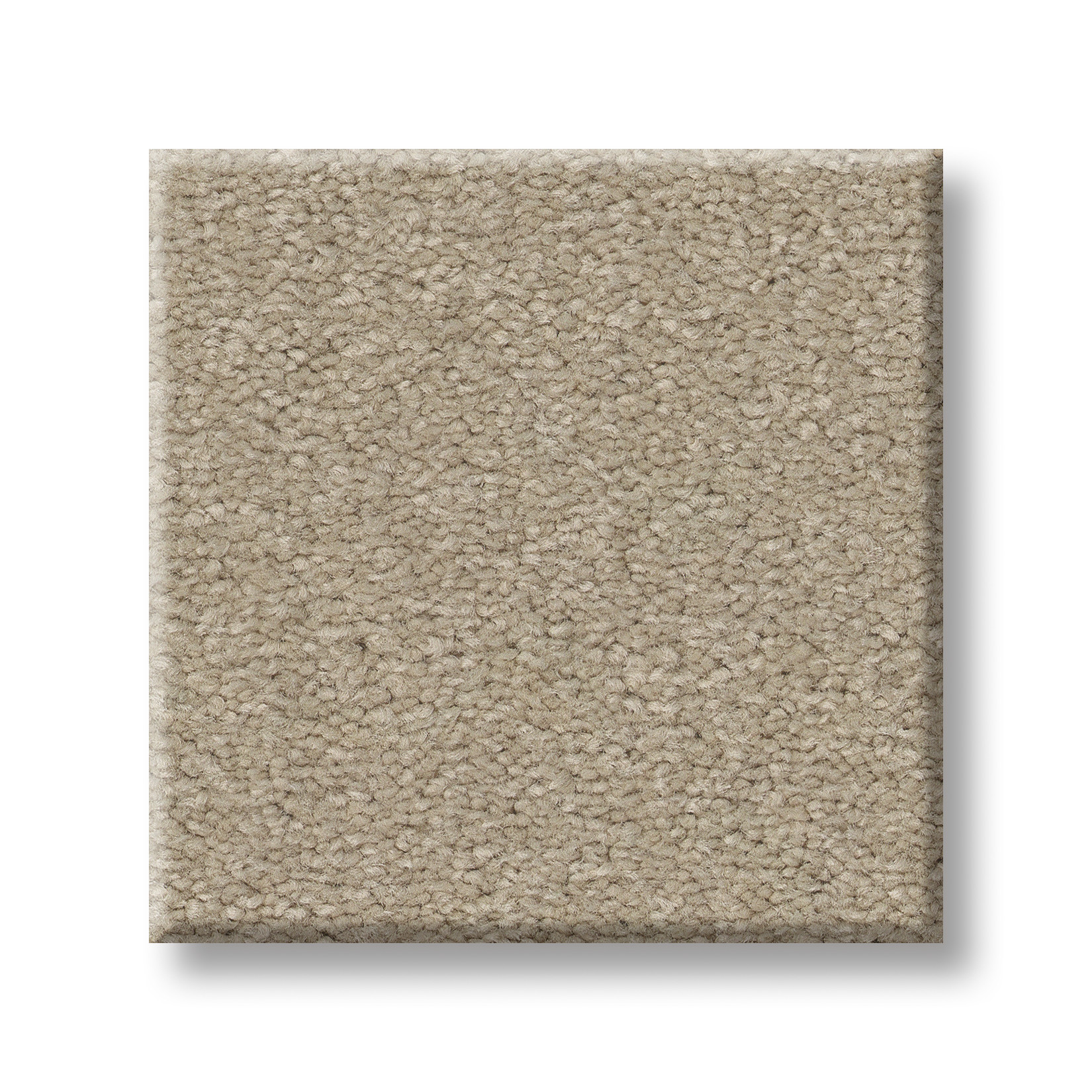 SOPHISTICATION 12' OATMEAL SWATCH