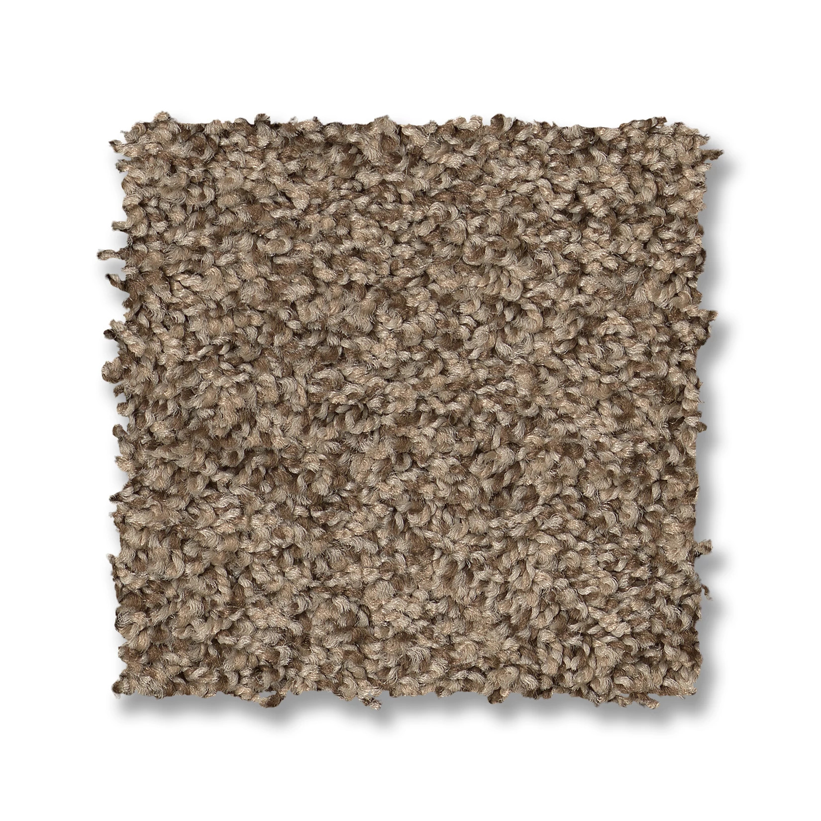 VIA NOVA JOSHUA TREE SWATCH