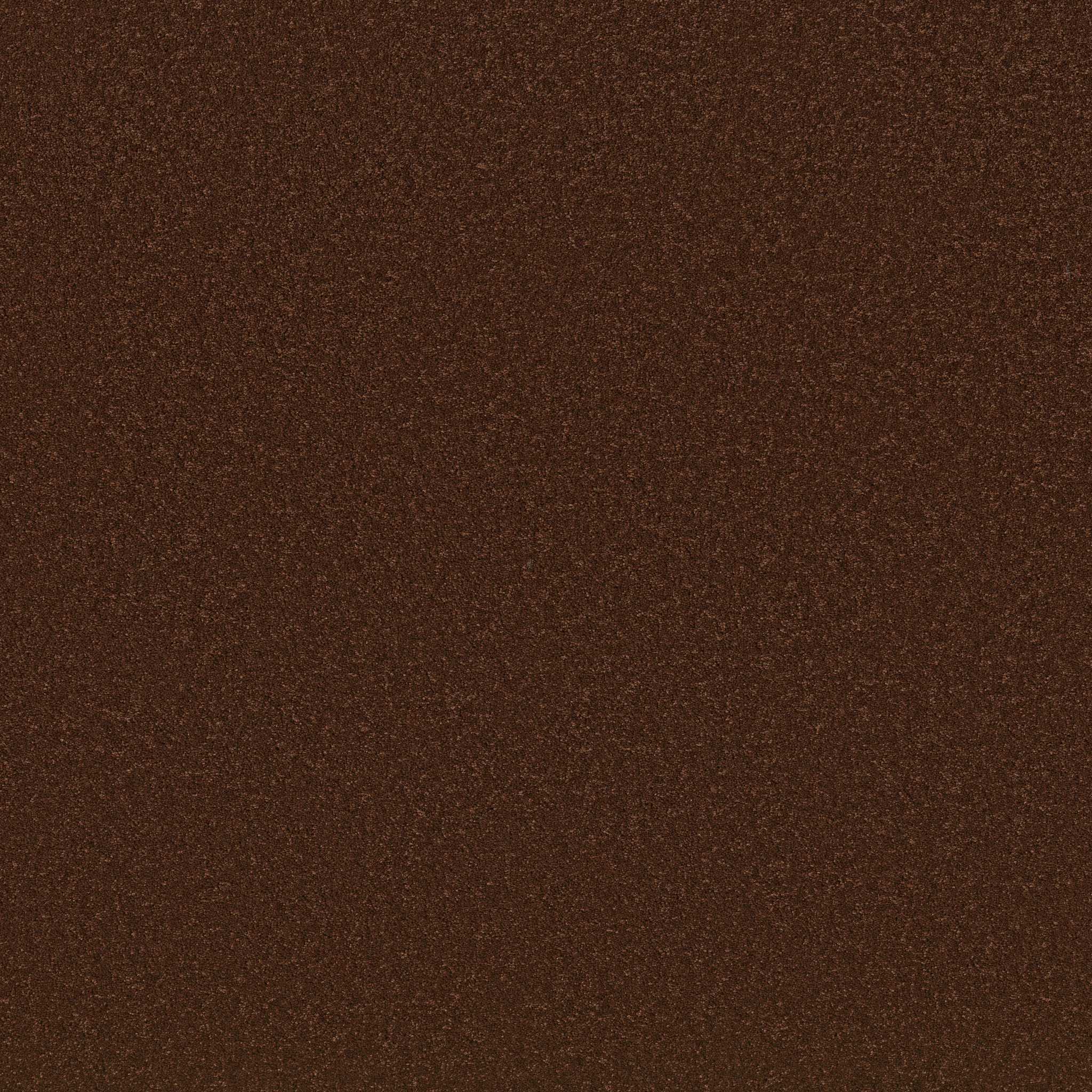 ENCHANTING CINNABAR MAIN