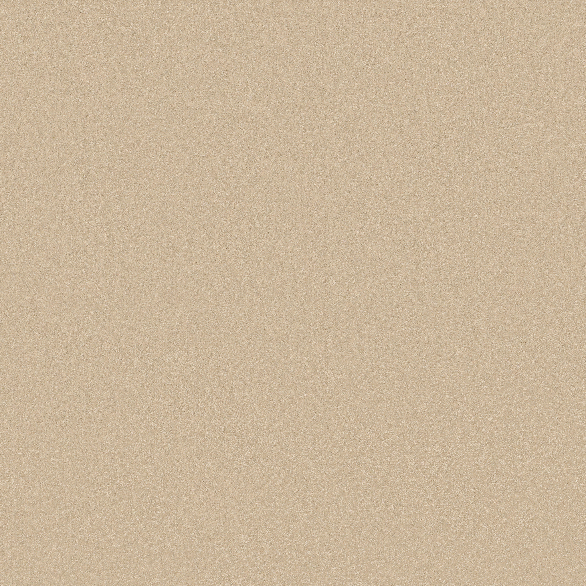 AWAKEN SPIRIT I 12' SUNLIGHT MAIN